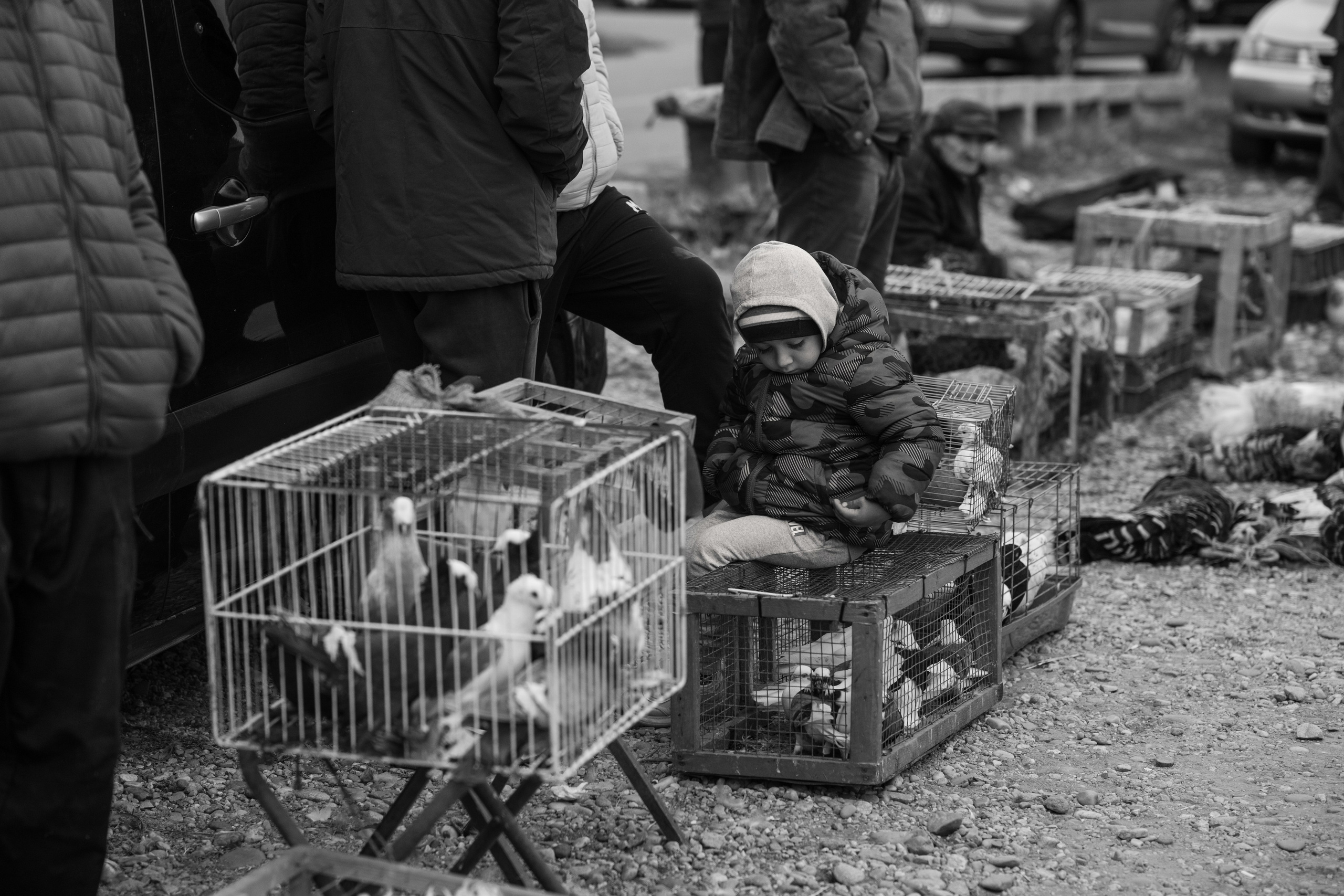 Romanian Markets. Geany Cazan