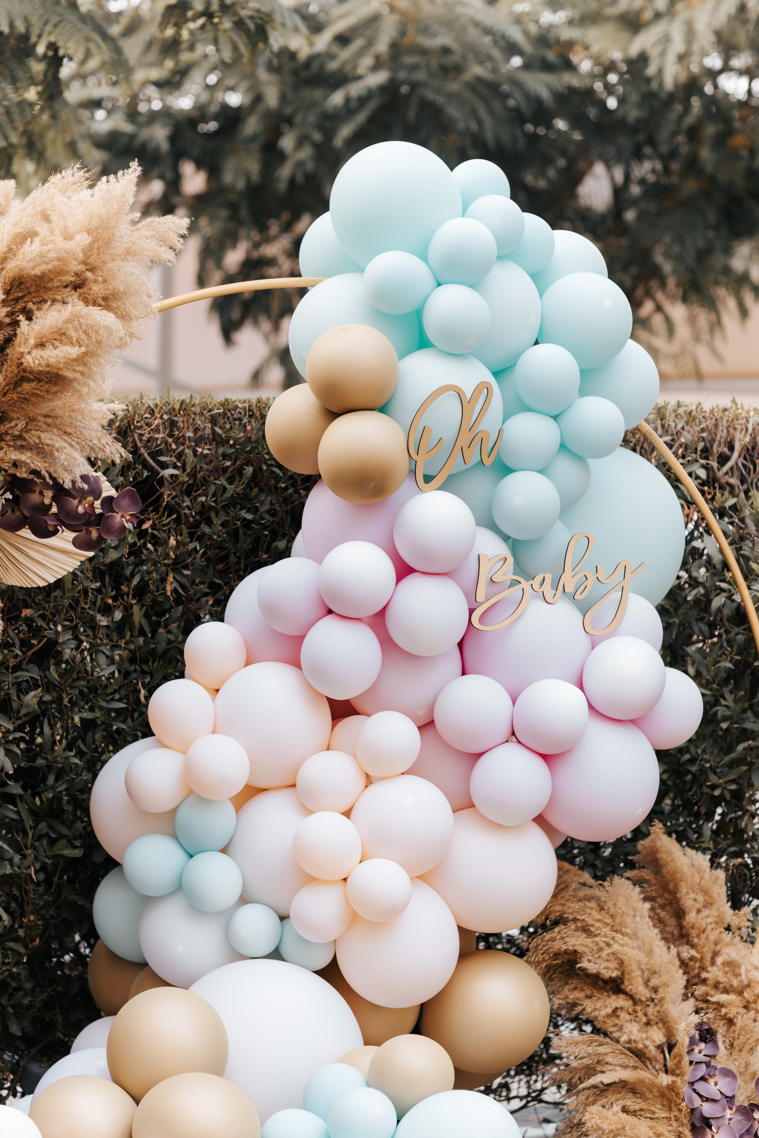 Amrita Gender Reveal