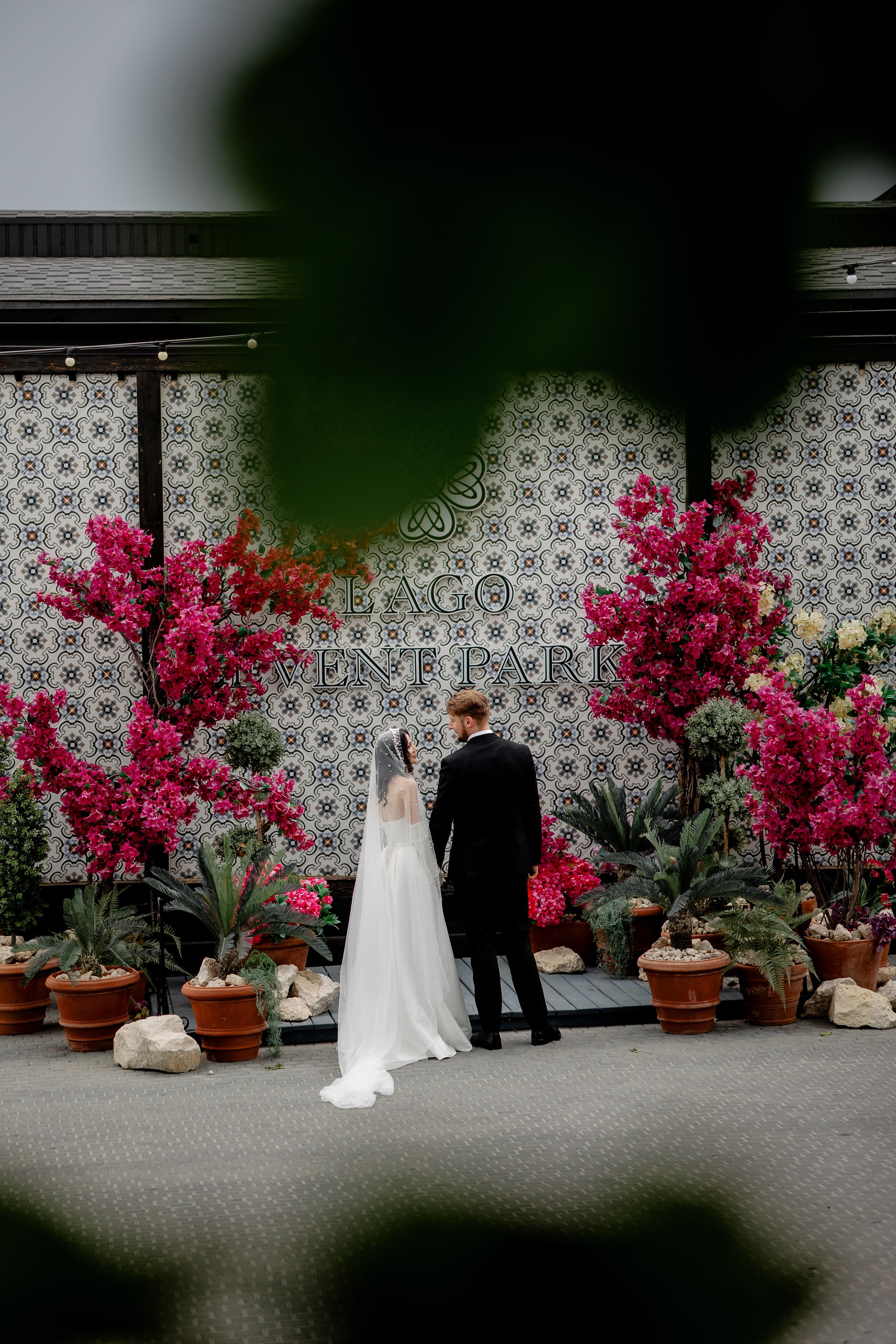 Tudor & Alexandrina. Servicii Foto/Video