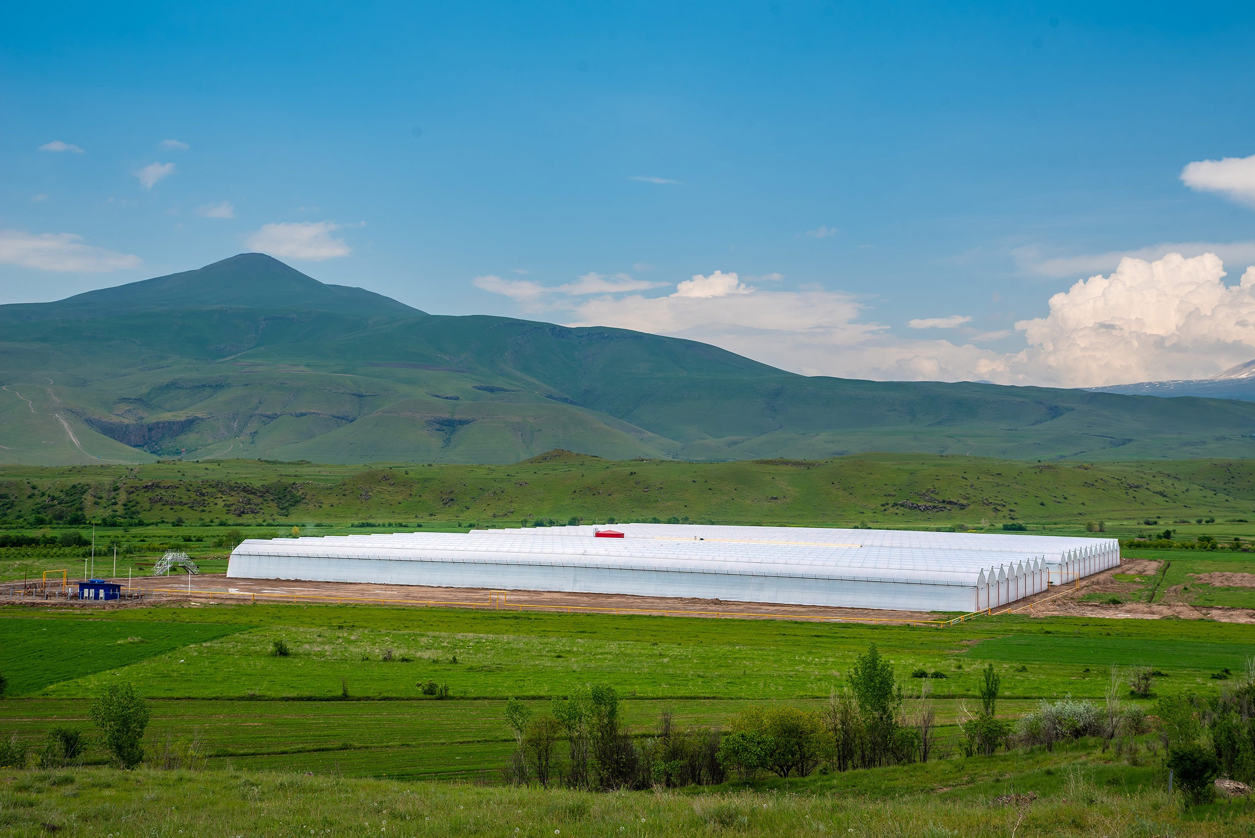 Rockberry. Фотограф в Ереване