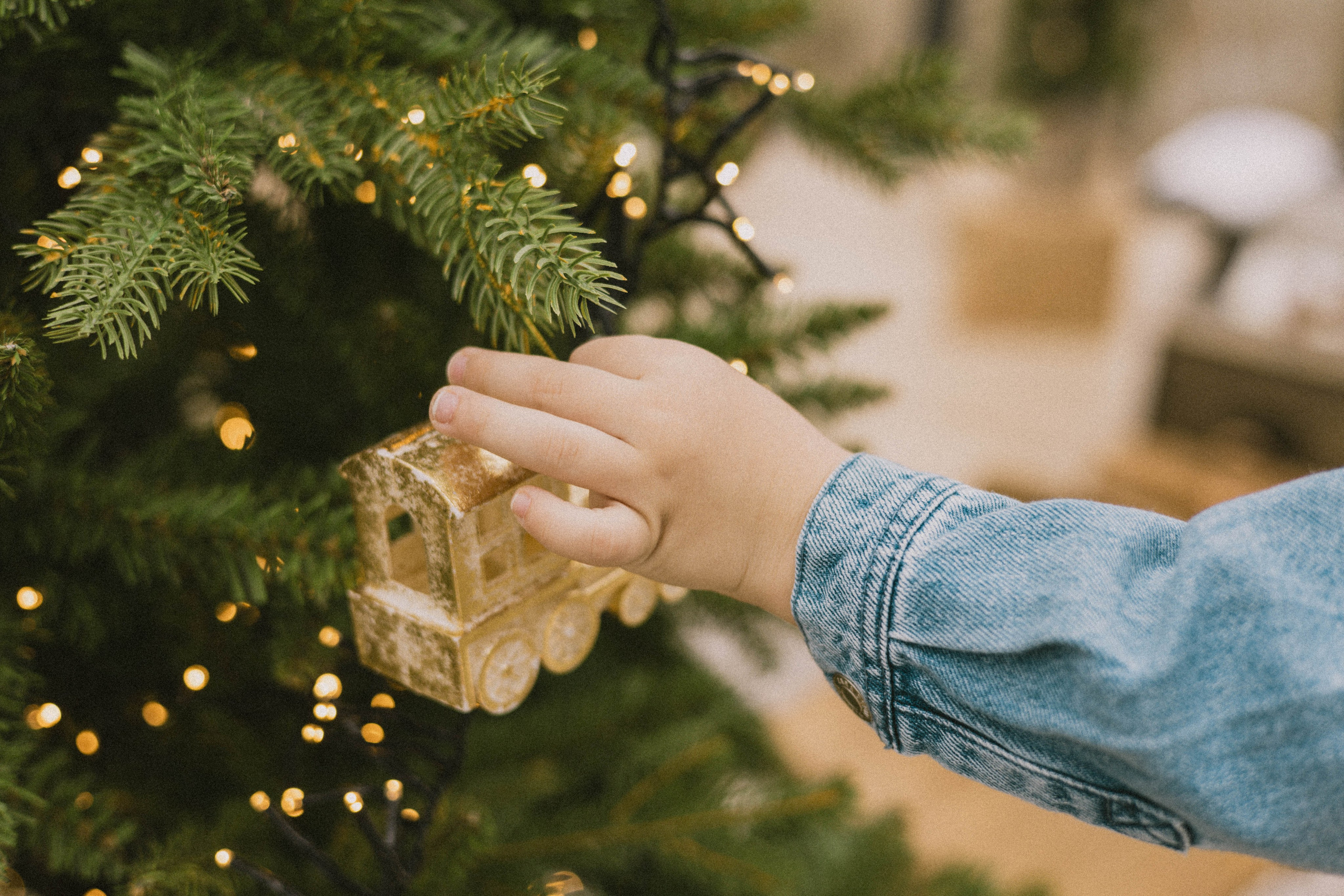 New Years Photography. Family and Wedding Photographer