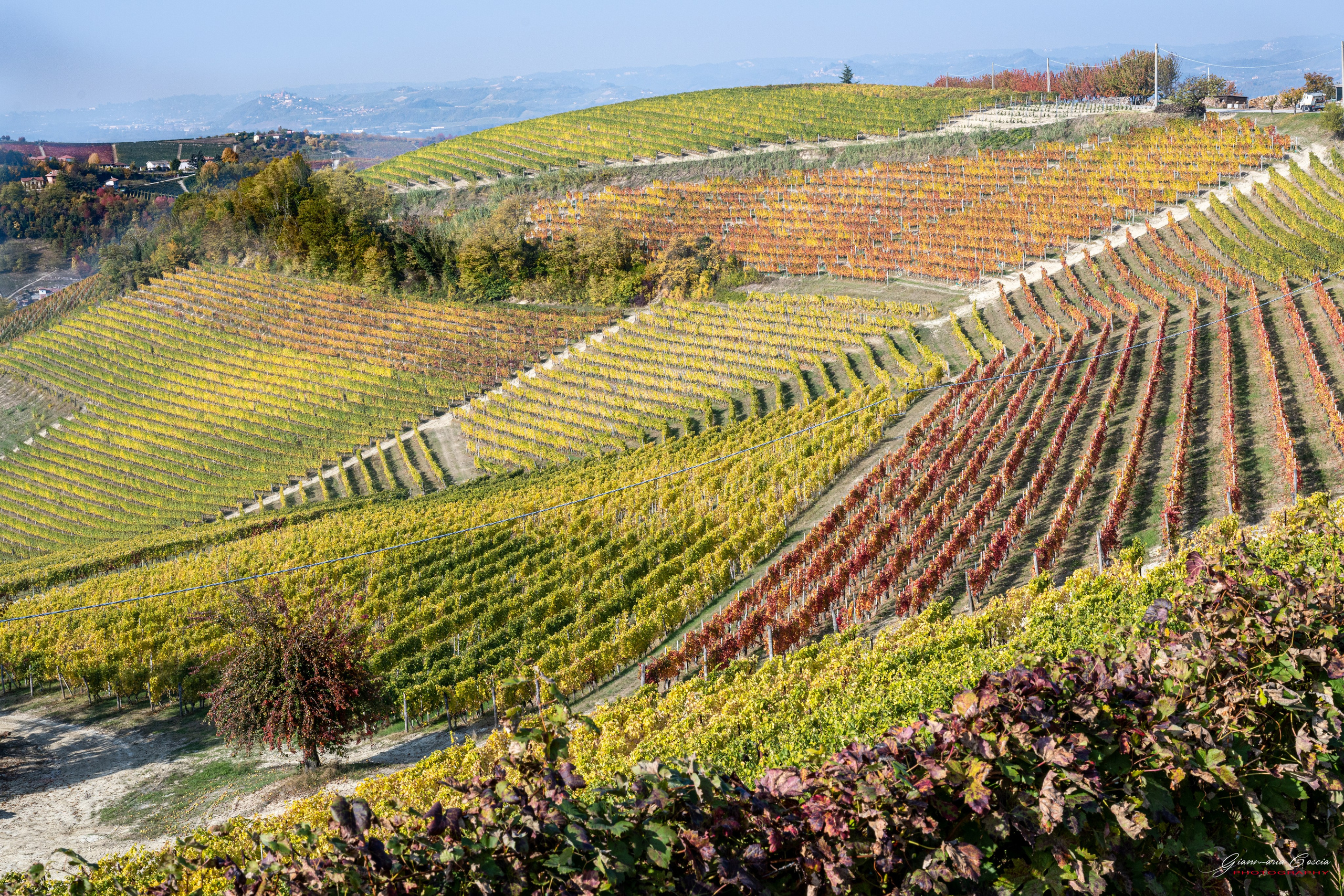 Langhe. “Gianmaria Coscia fotografo per passione”