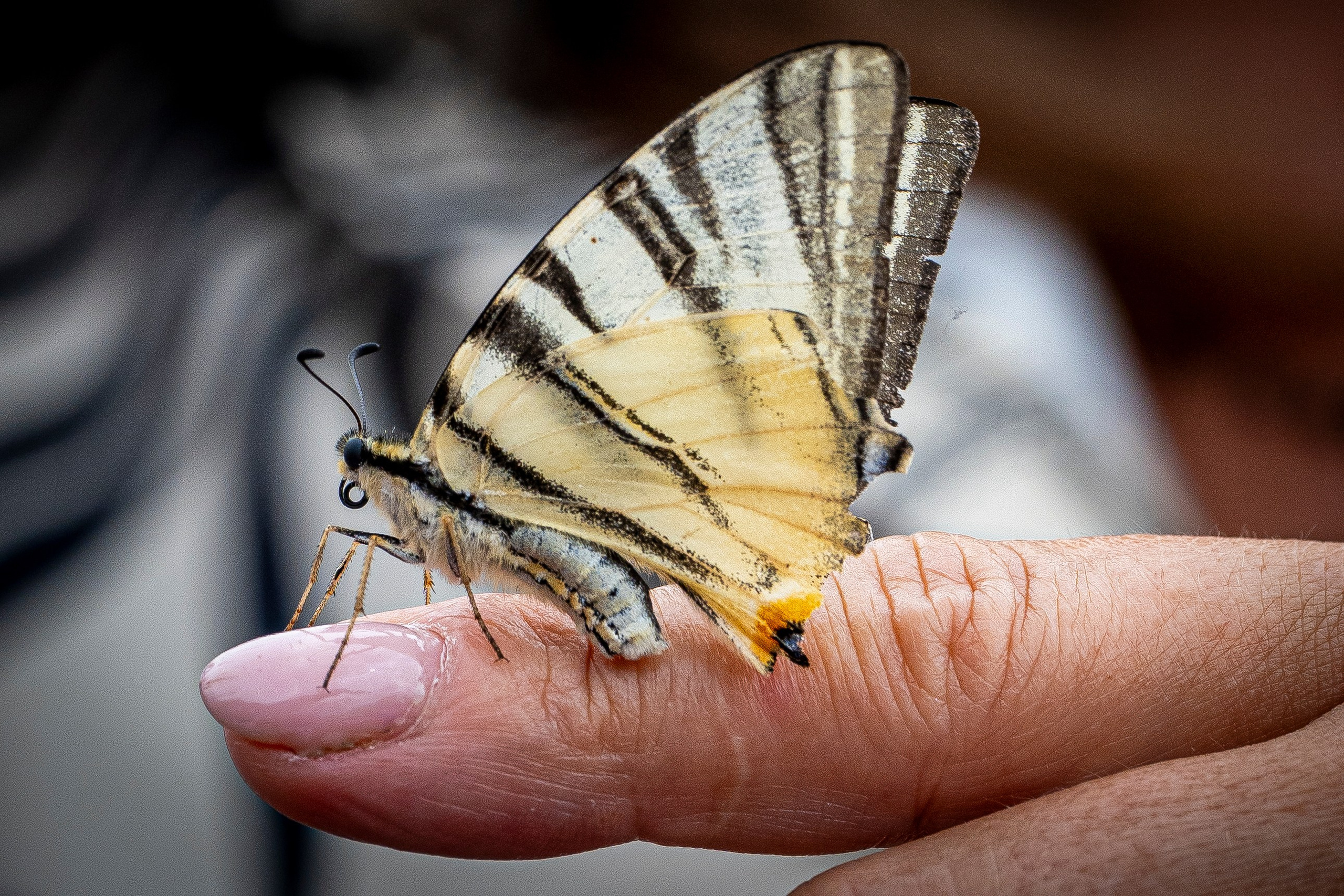 Matrimonio Federica e Antonio. “Gianmaria Coscia fotografo per passione”
