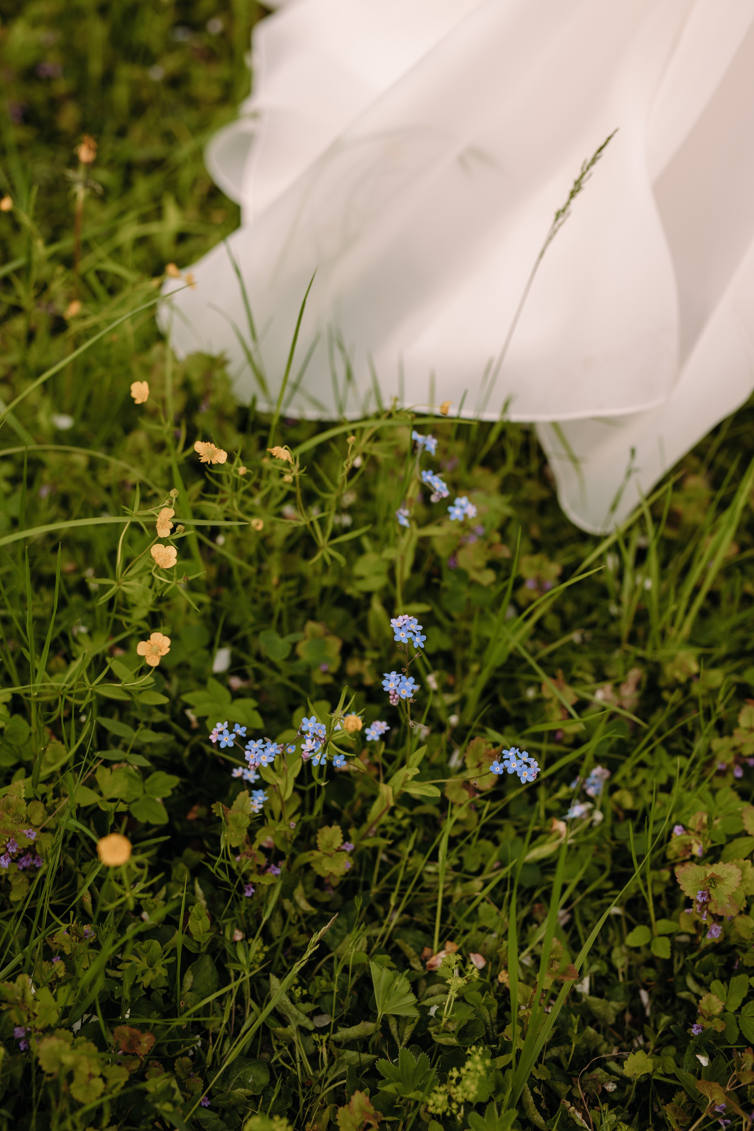 Jana & Māris. Fotogrāfe Līga Vaidere