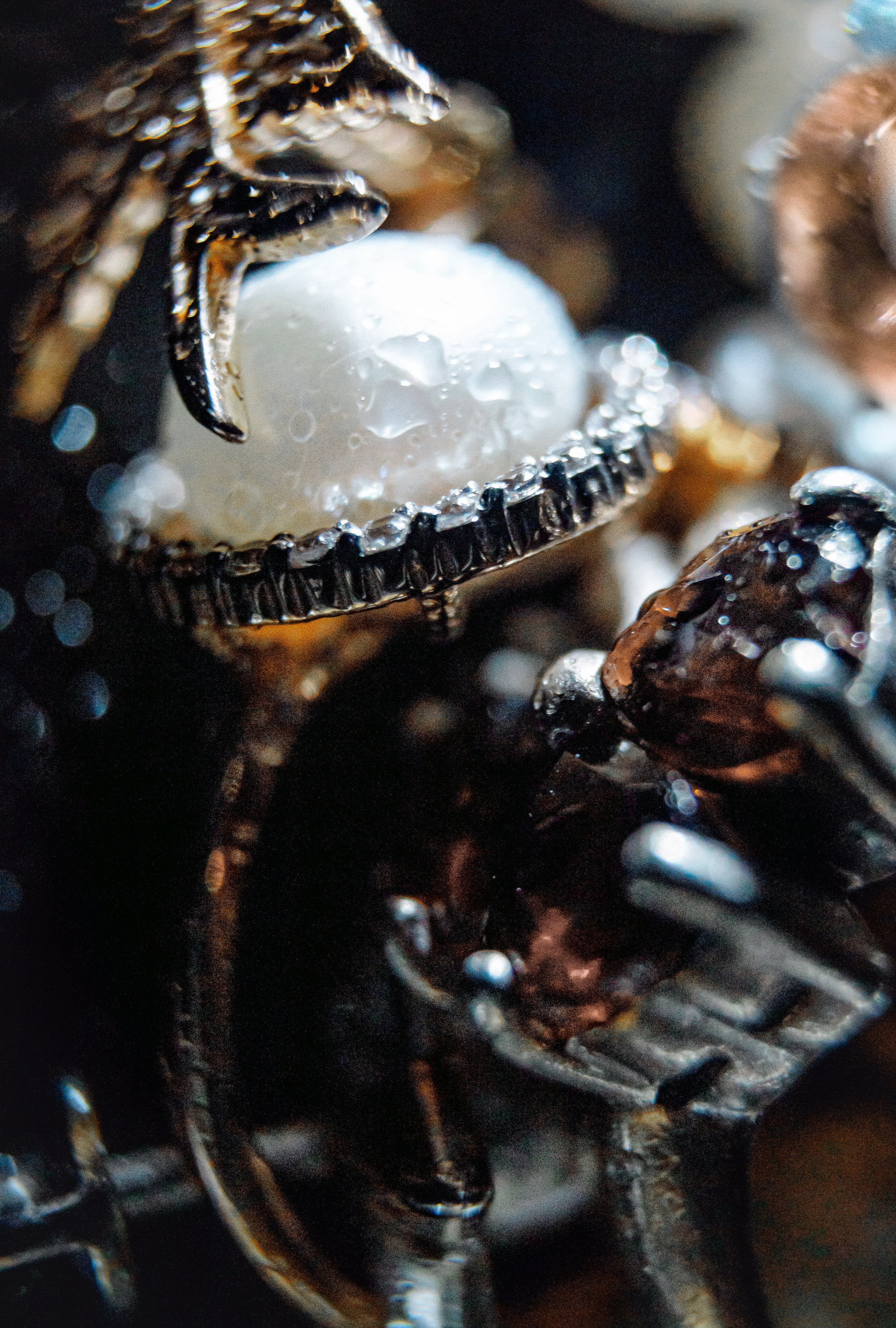 Еда+Недвижимость. Wedding photographer Batumi Tbilisi Georgia