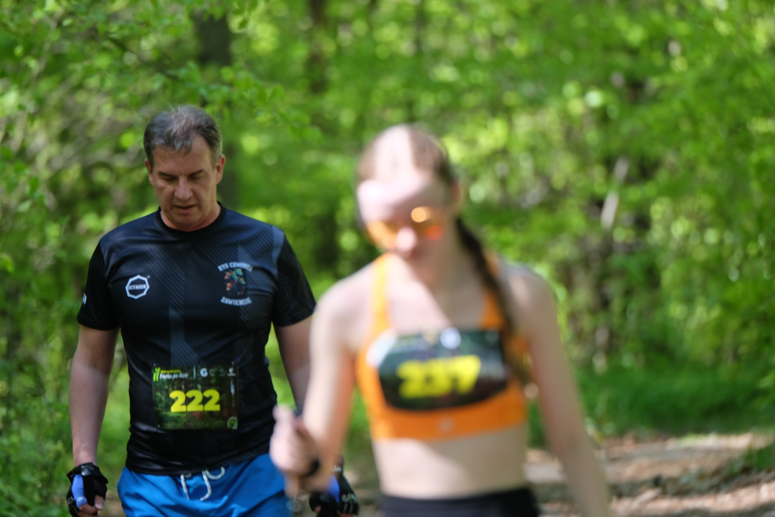 Aleksandryjska Piątka po lesie. Main