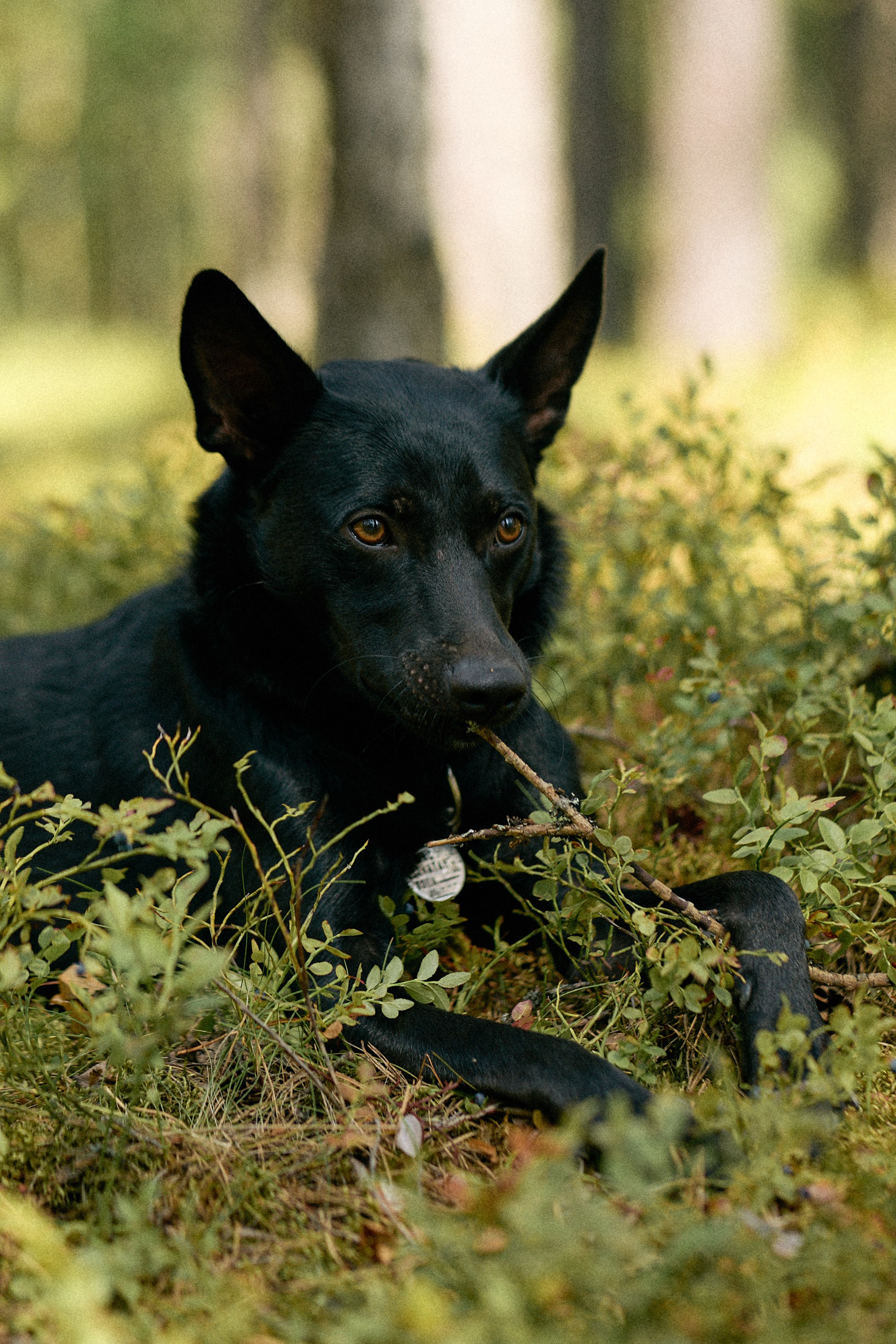 Reverse Race 2021 #cycling. Photographer Evgeniya Dovgalyuk
