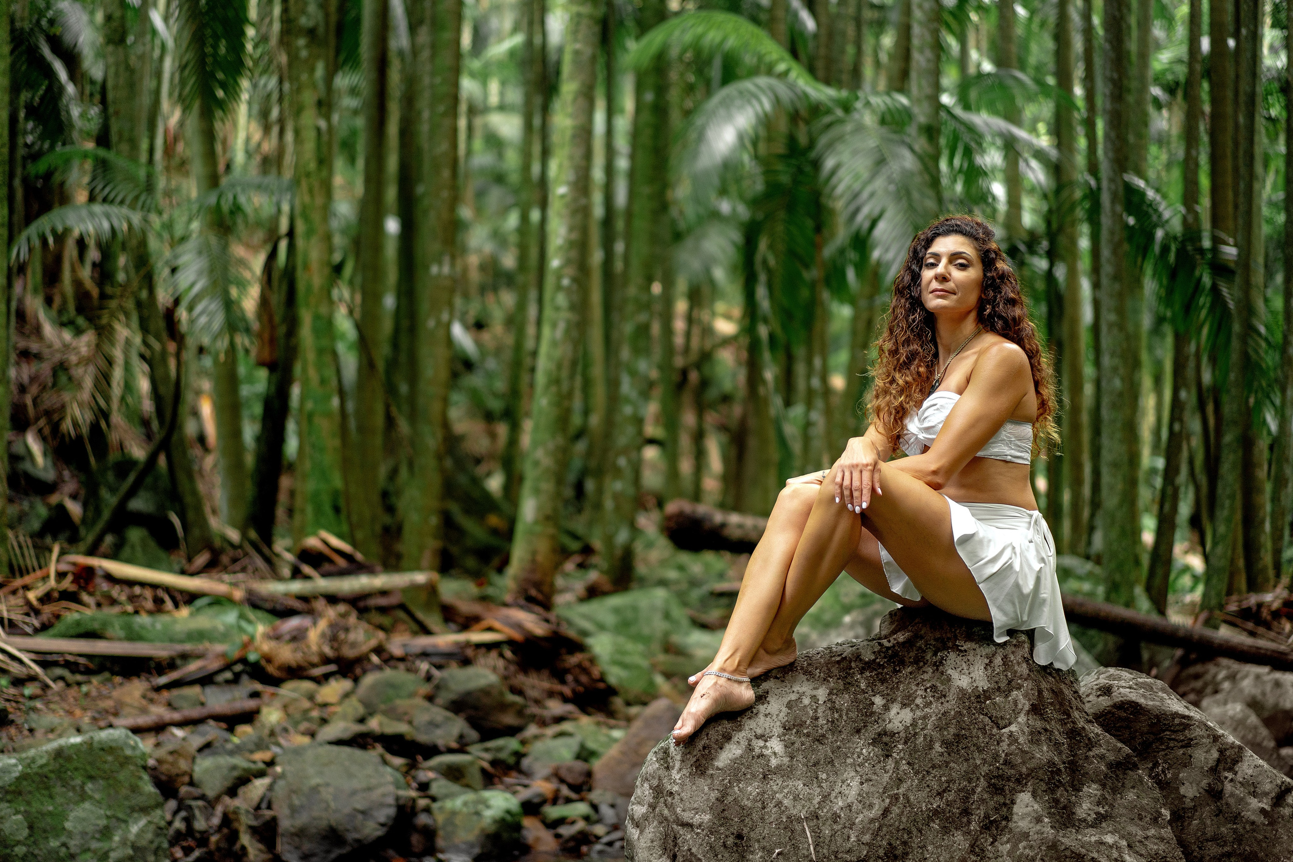 Tropical Forest with Ran. Welcome!