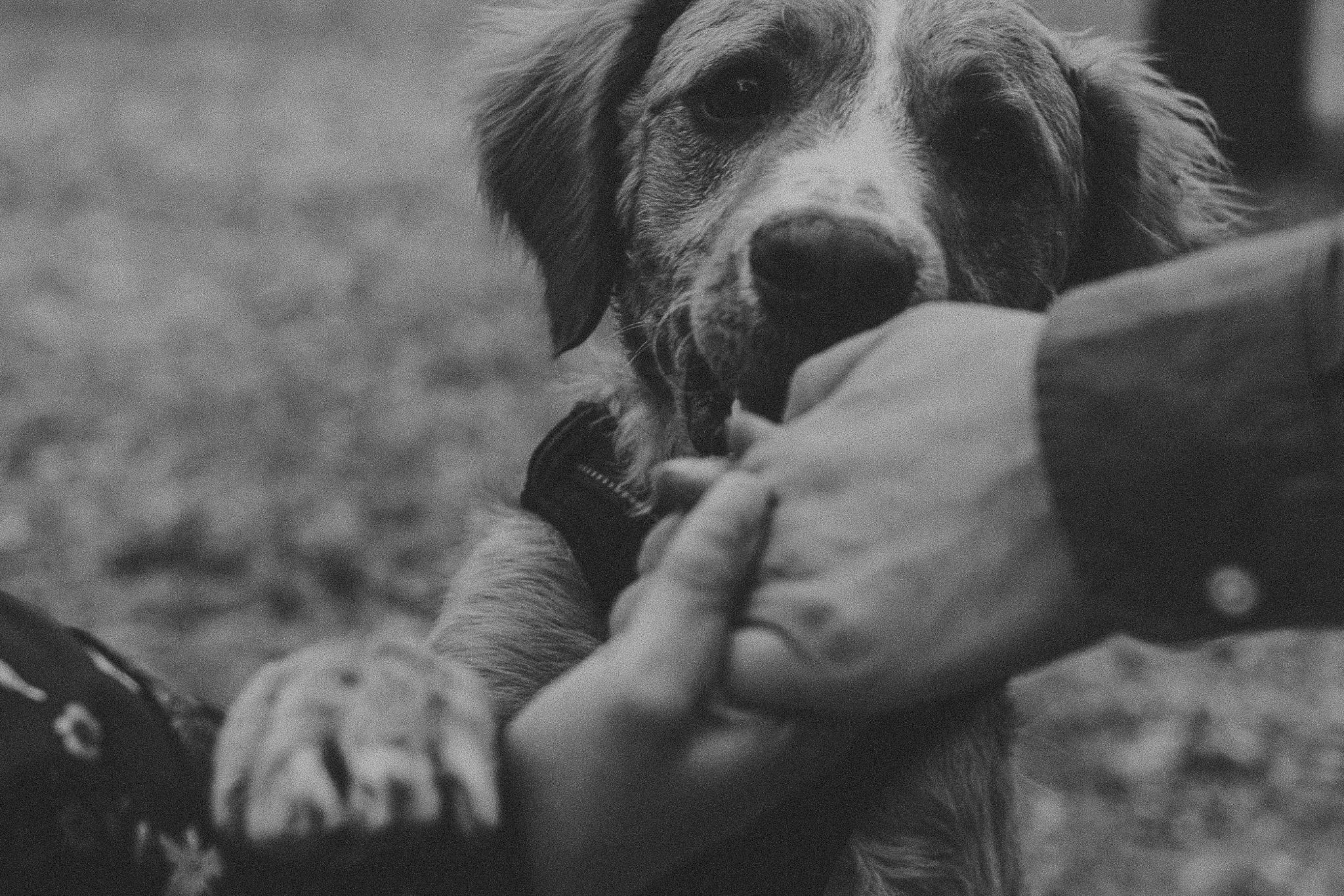 Gin & Cesar. Wedding and family photographer in Mexico City