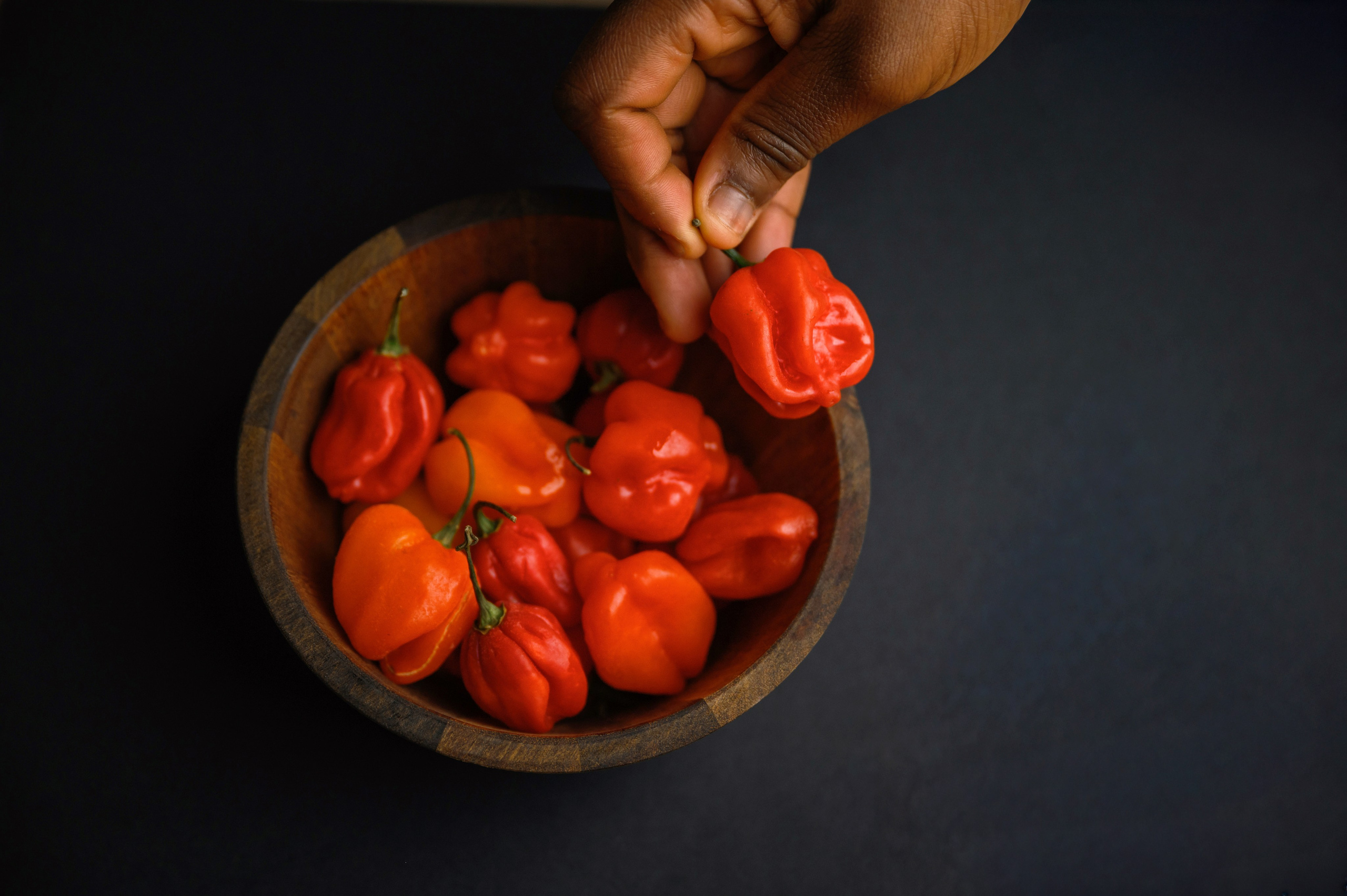 Odum fusion restaurant_food photo. Photographer in Luxembourg Tanita