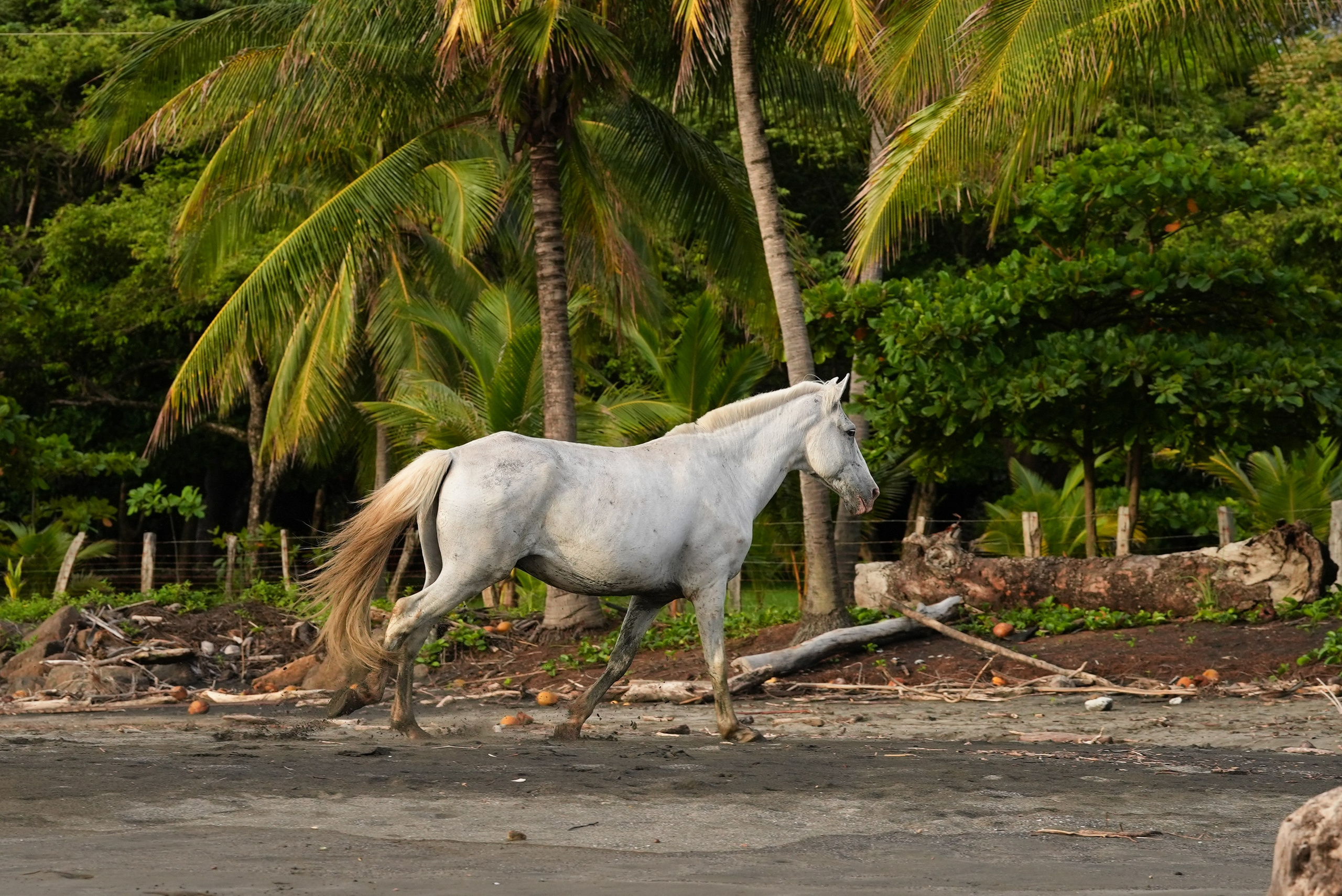 LOVE STORY - PAARE. Fotostudio in Metzingen
