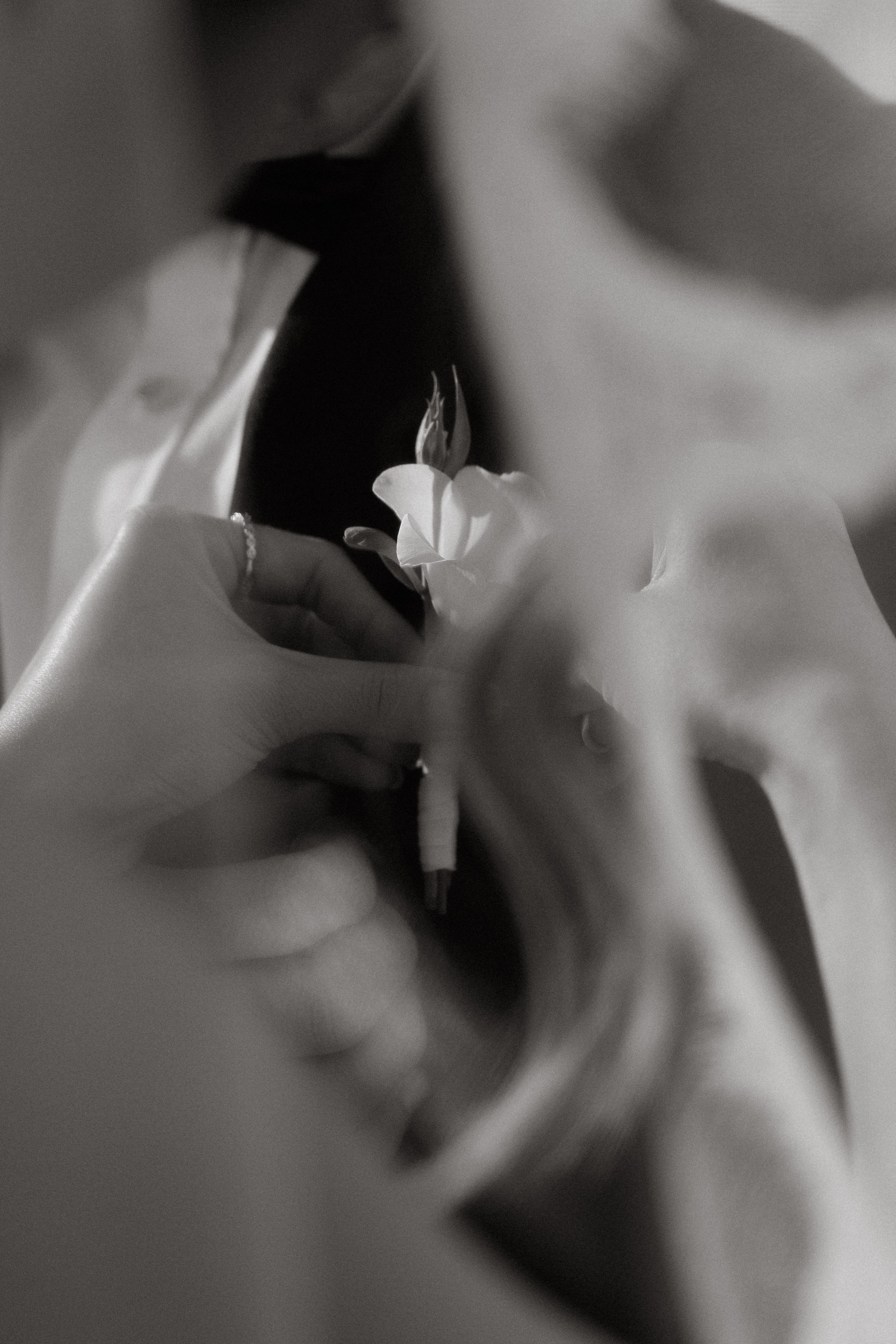 Yuliana & Vitaly/ wedding story. Студия декора «Нарния»