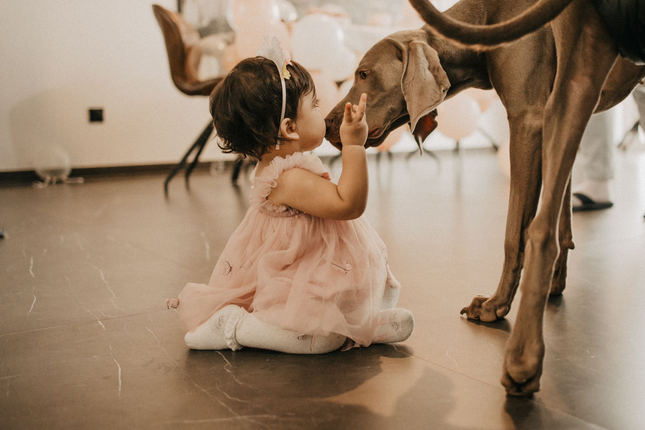 ÉVÉNEMENTS. Семейный фотограф во Франции (Мец, Люксембург)