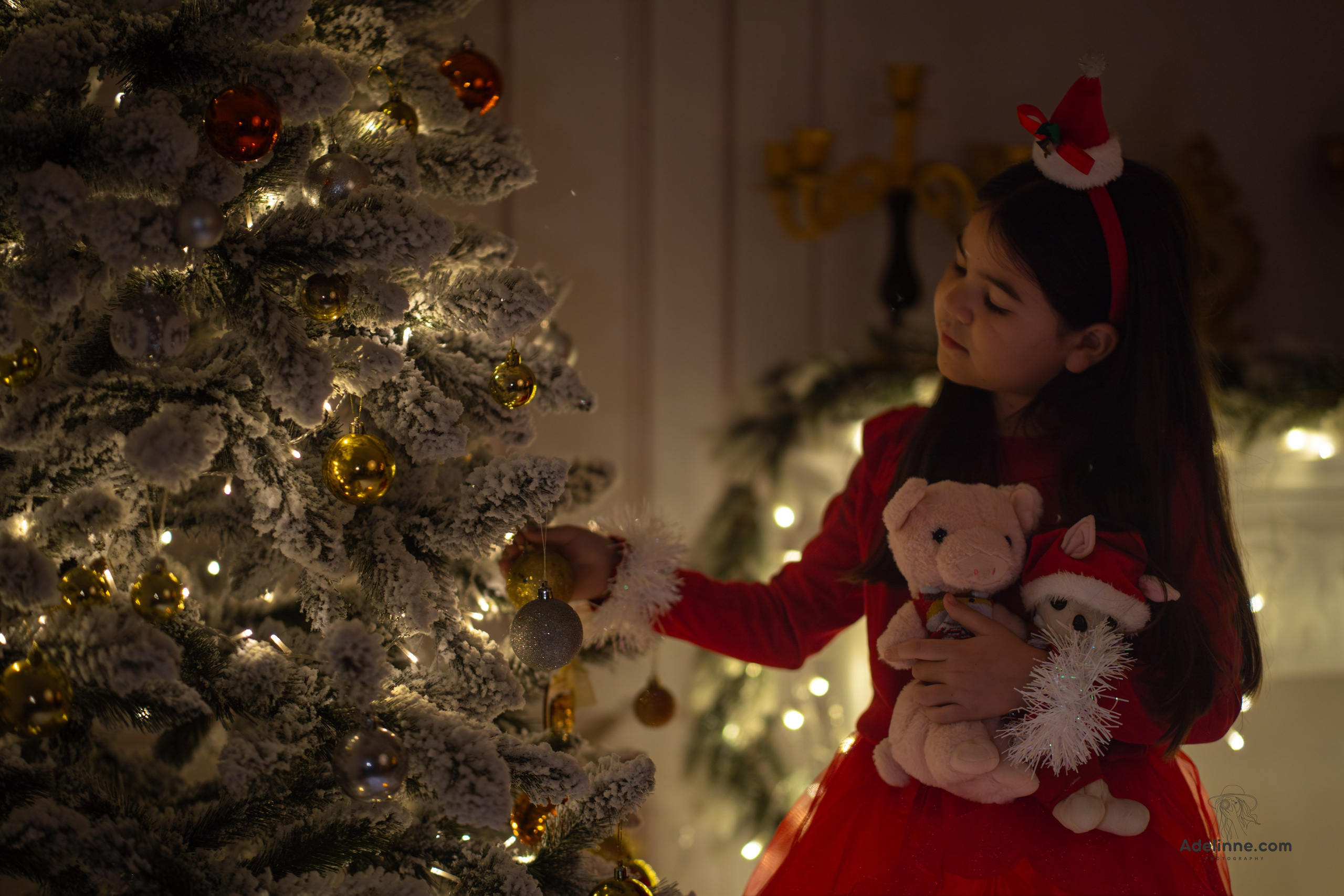 Album Mazo’s Christmas. Adelinne — fotograf profesionist în Constanța pentru familii, bebeluși și evenimente