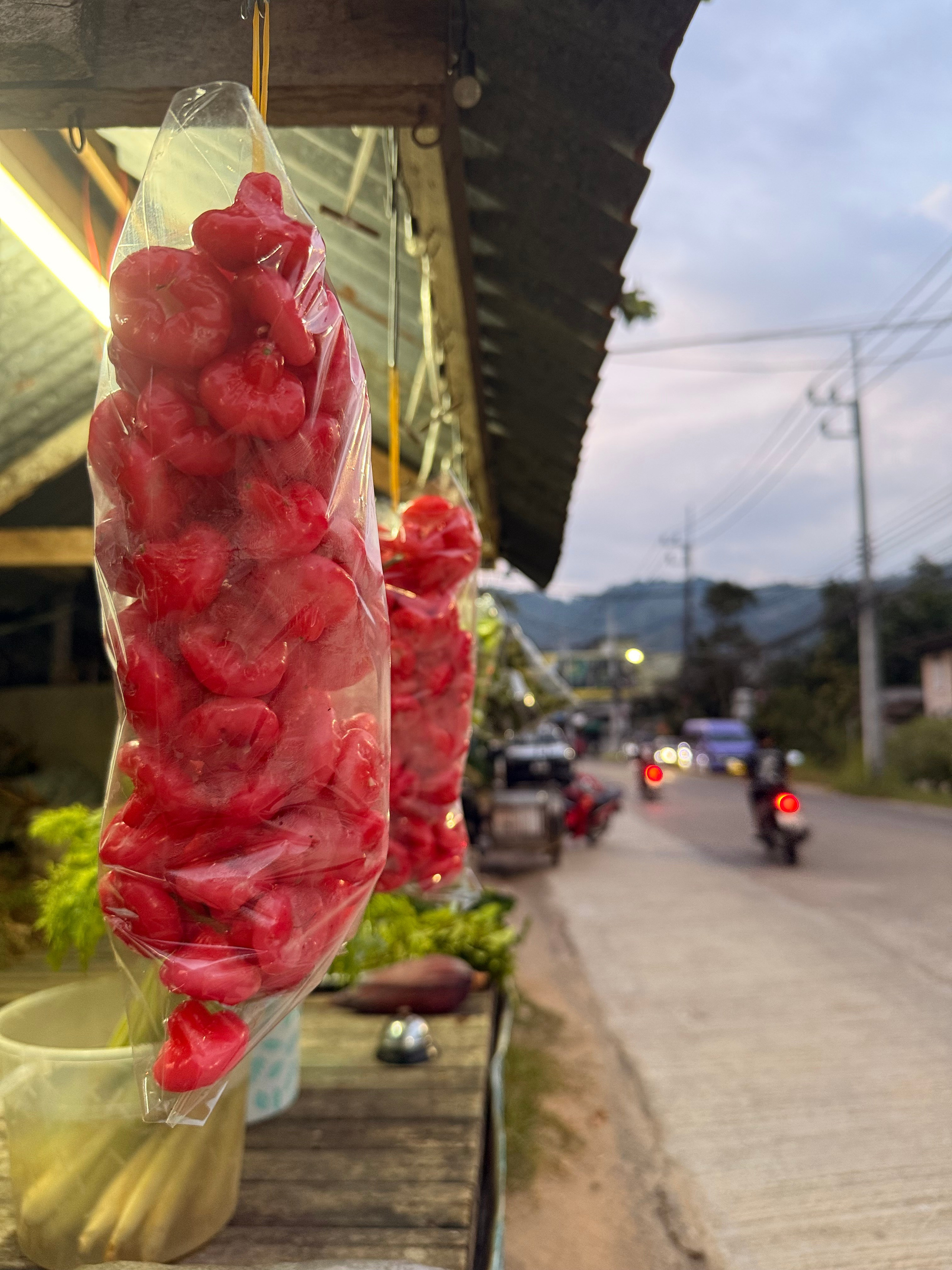 Phuket_2024/2025. Портретный фотограф Алена Новгородцева