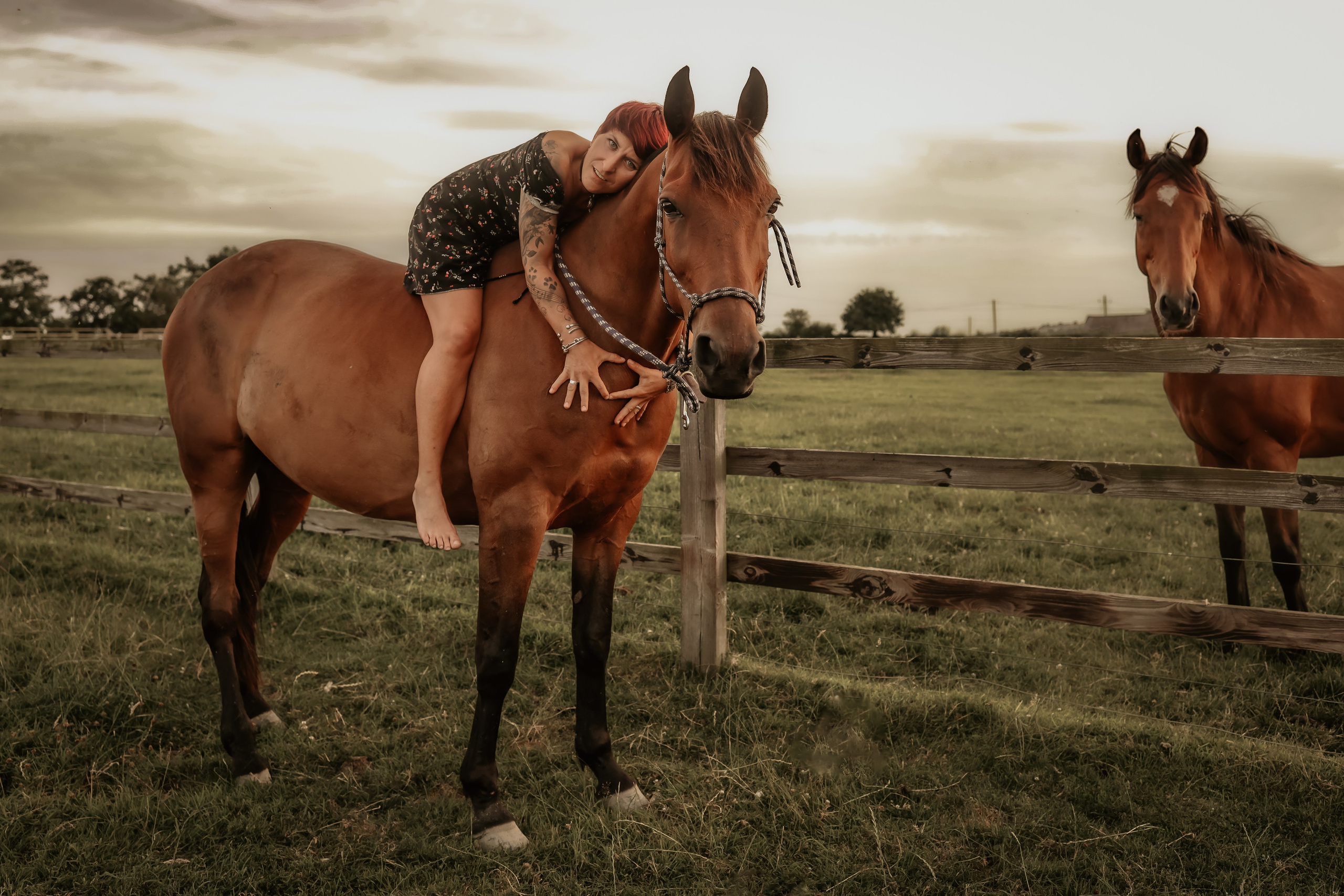 Soulmates. Photographer Co Dublin, Balbriggan — Agata Maliseva