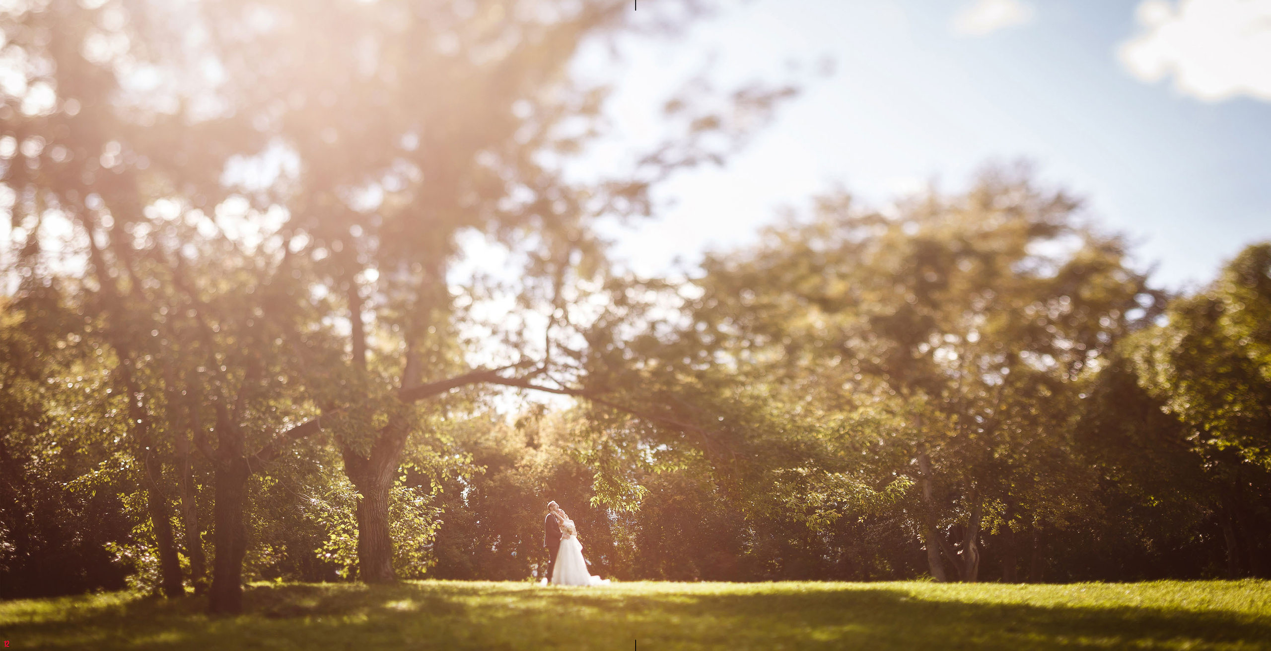 Wedding Album Anton & Ekaterina. Worldwide photographer VOINOV