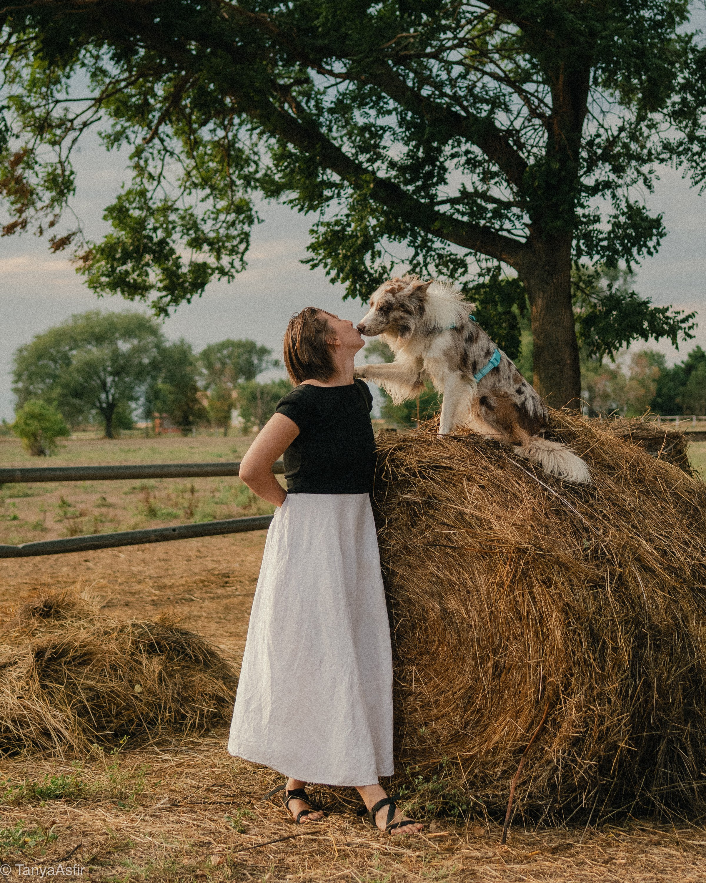 Outdoor Pet Photography by Tanya Asfir, Belgrade. Tanya Asfir — Pet & Animal Photographer | Belgrade, Serbia