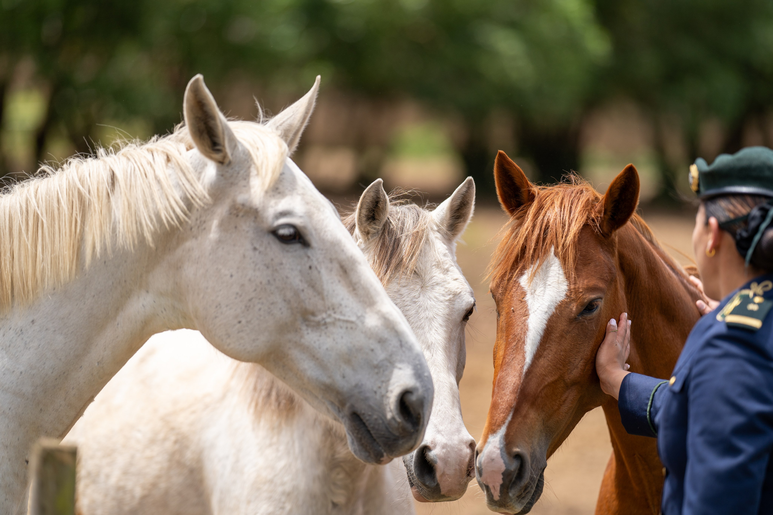 Lisbon photo walk. Event, portrait, content photographer in Lisbon and surrounding areas