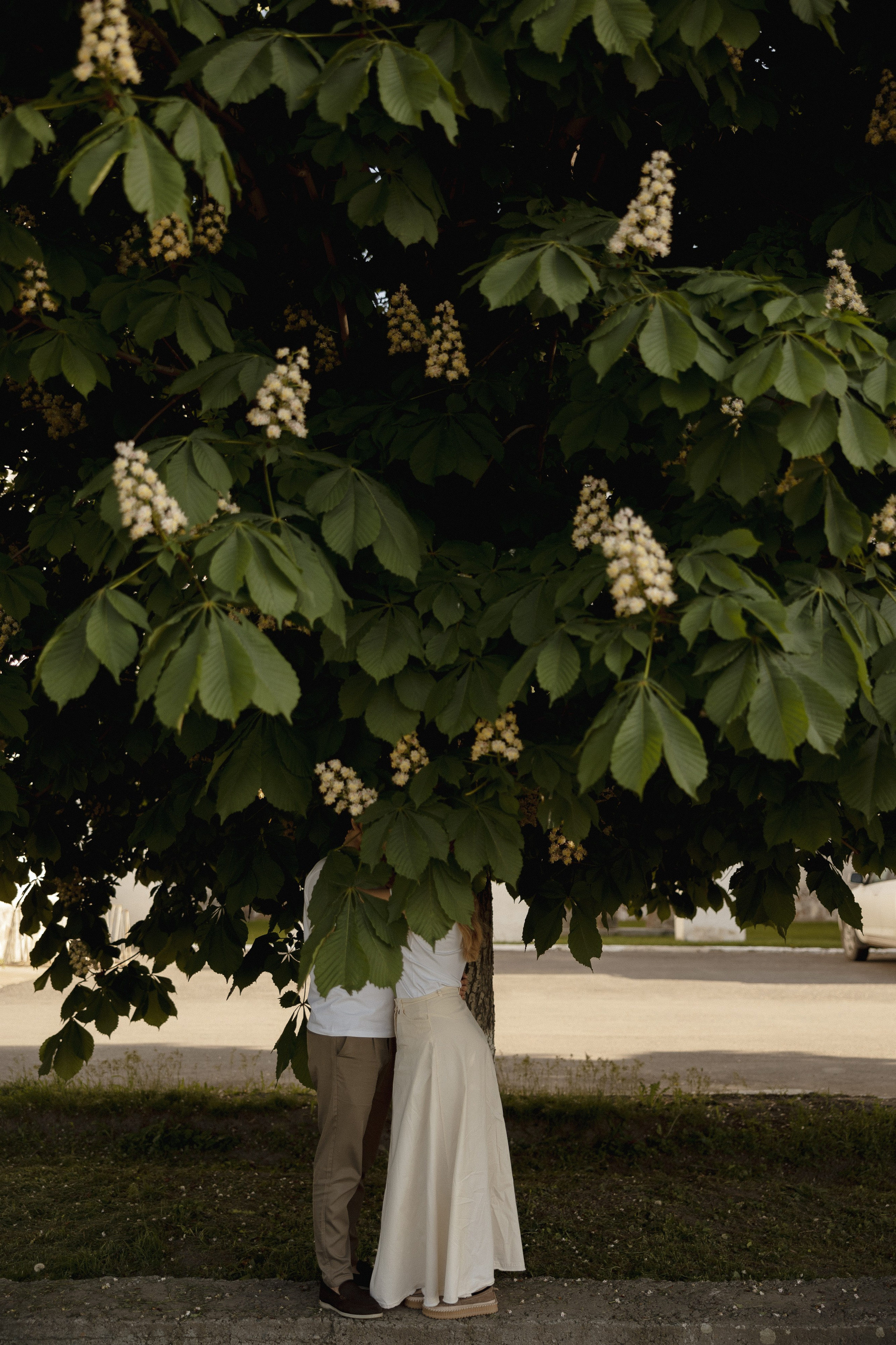 Медер и Айжан. Азимжан Нуритдинходжаев — свадебный фотограф