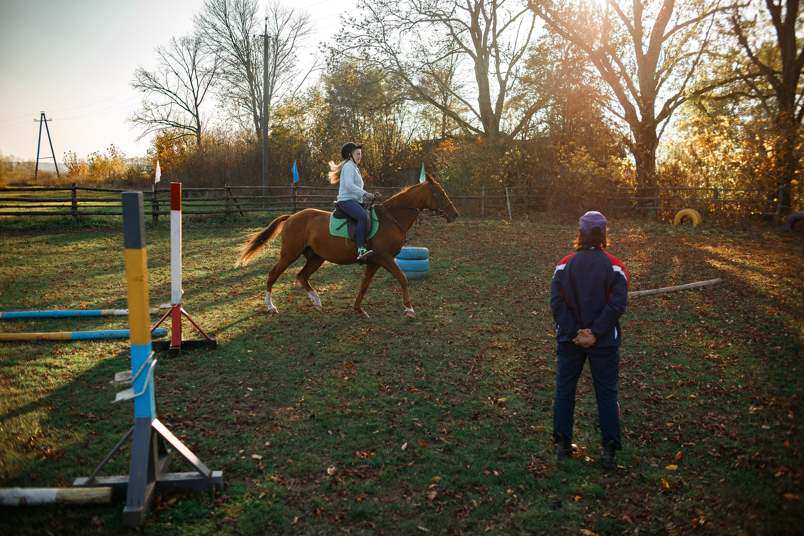 Autumn equestrian training. Kaja | fotograf psów we Wrocławiu