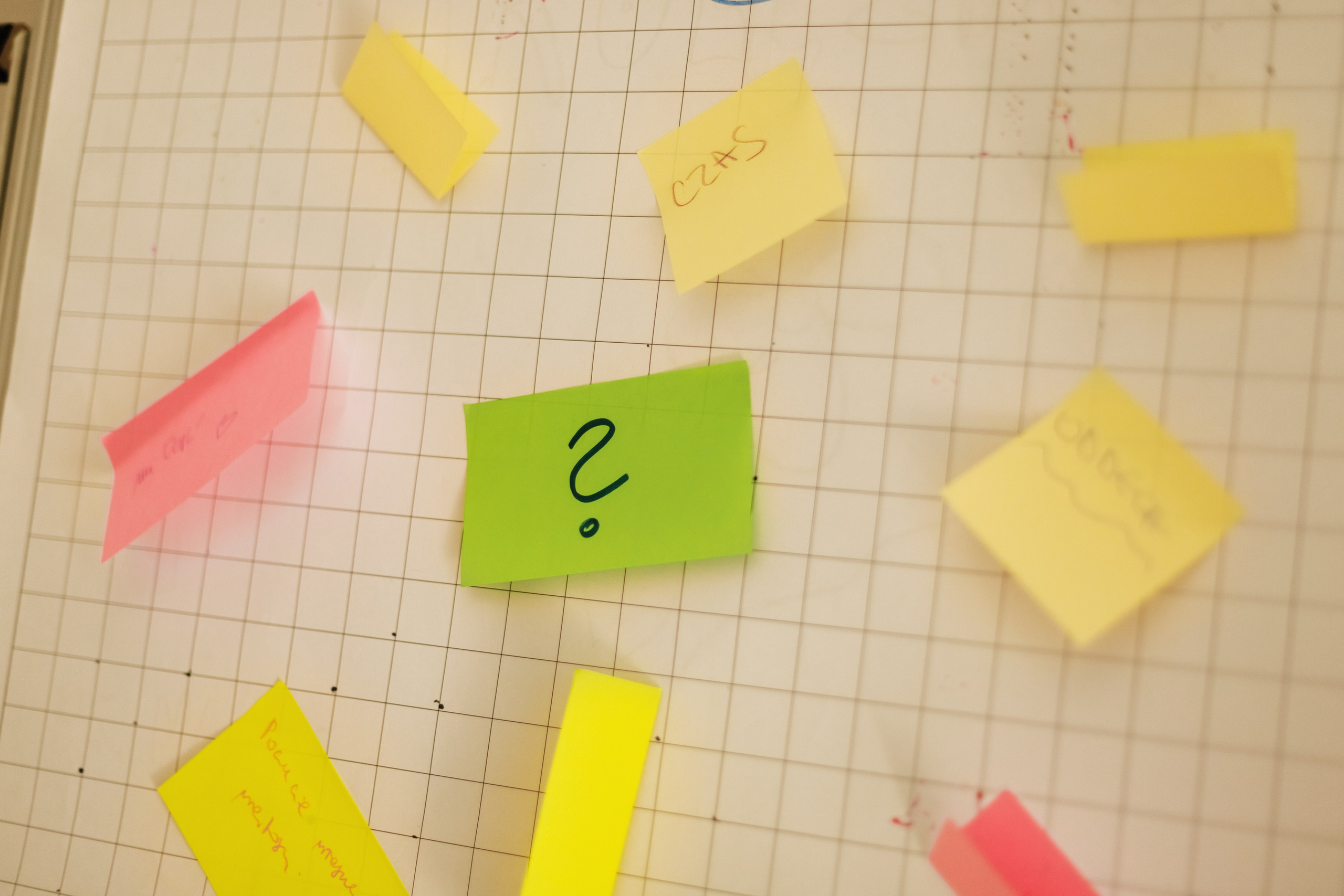 Małgorzata | business portrait. Kaja | fotograf we Wrocławiu | ludzie i psy