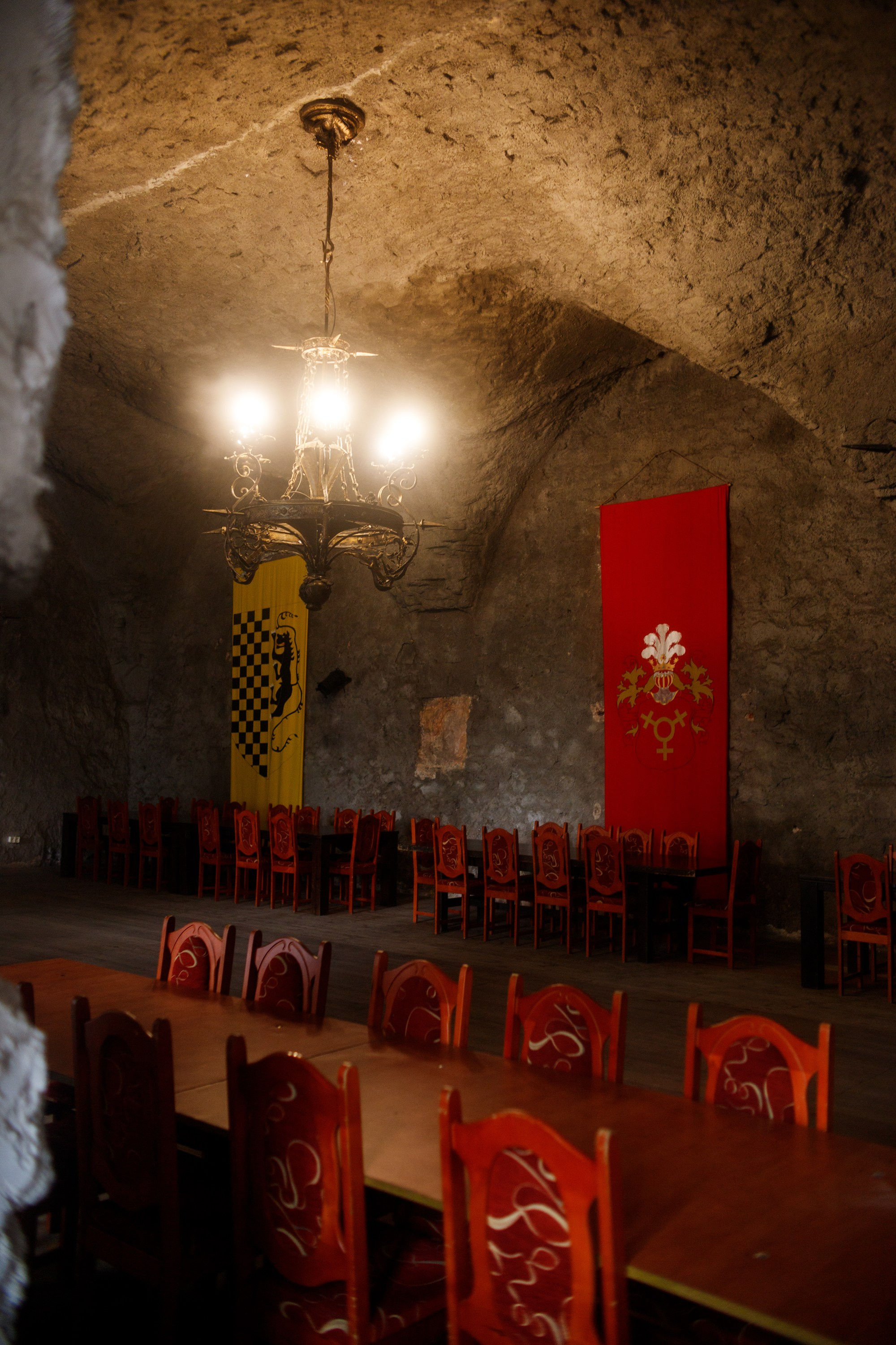 Zamek Grodziec. Kaja | fotograf psów we Wrocławiu