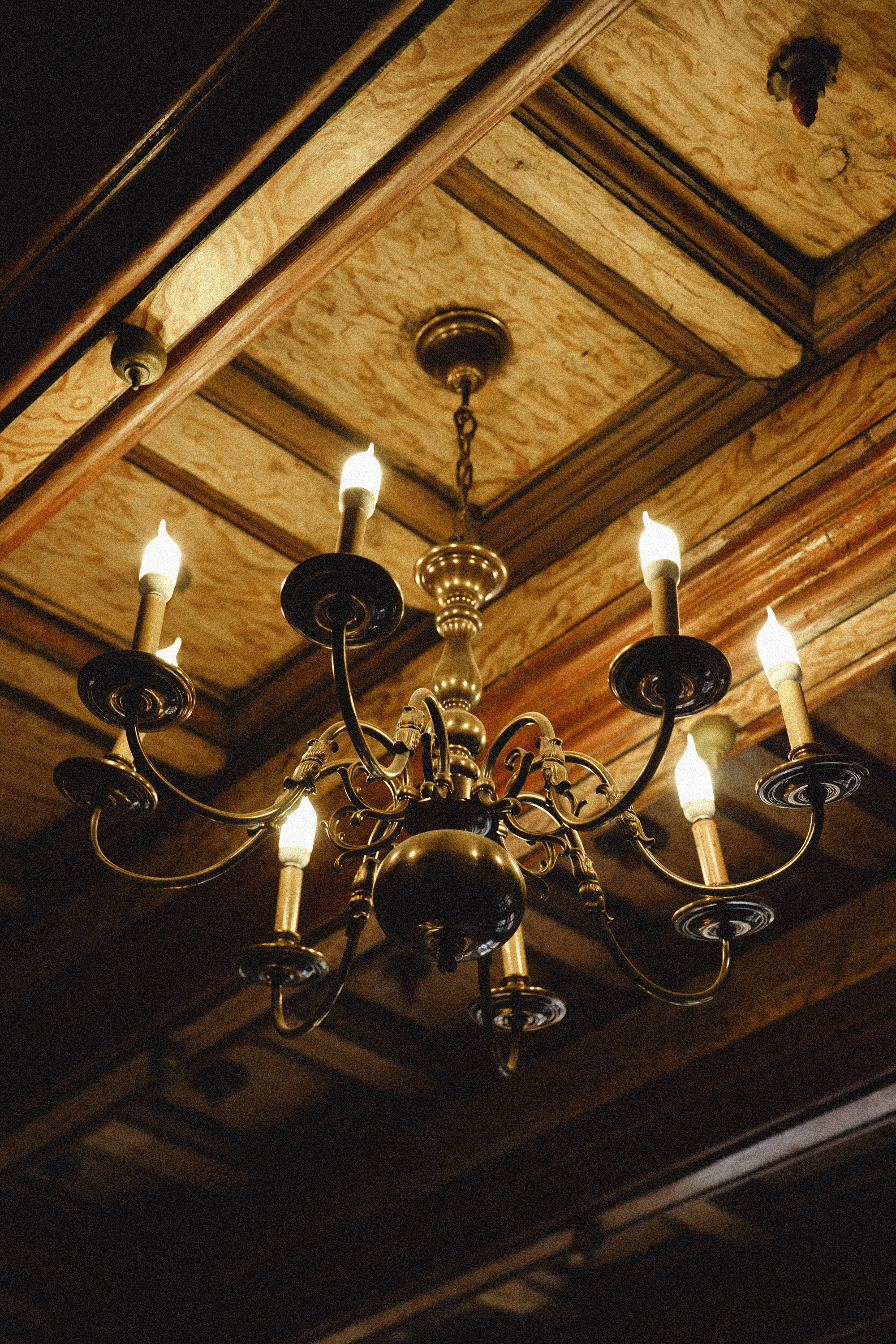 Museum of farmacy in Wroclaw. Kaja | fotograf we Wrocławiu | ludzie i psy