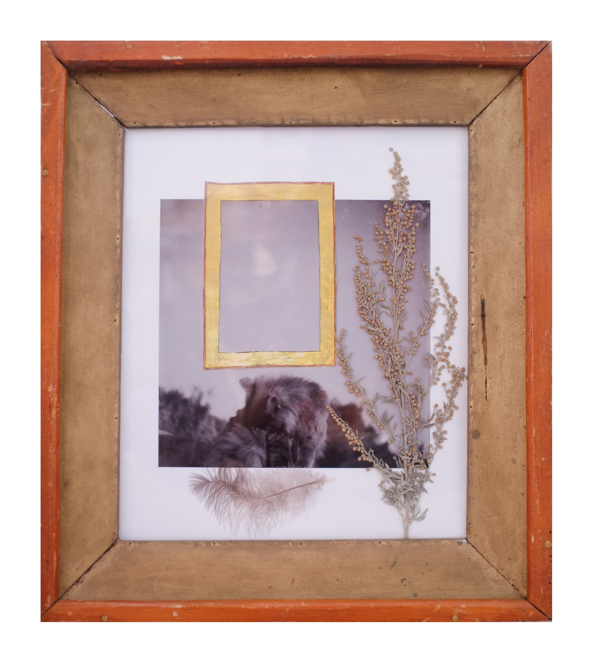 Cat Caravan. Natalia Parfenova visual artist film photographer