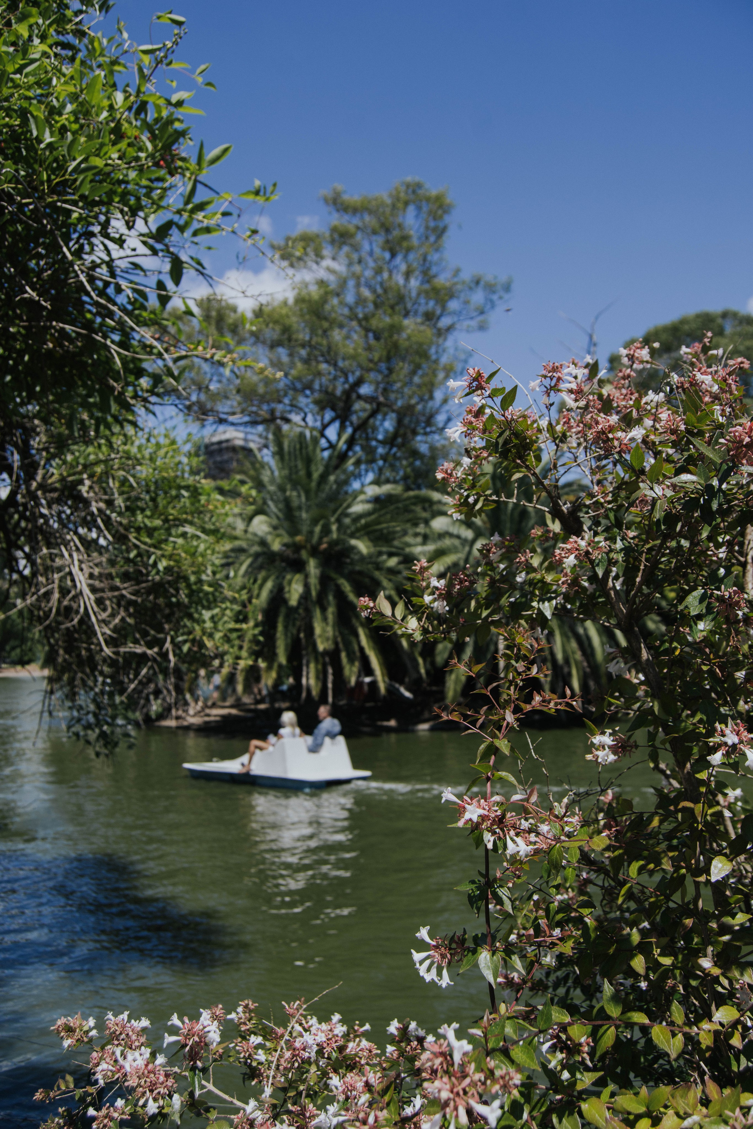 Wedding. Reportage shoots in Buenos Aires. Photographer @elmirkami in the city of Buenos Aires