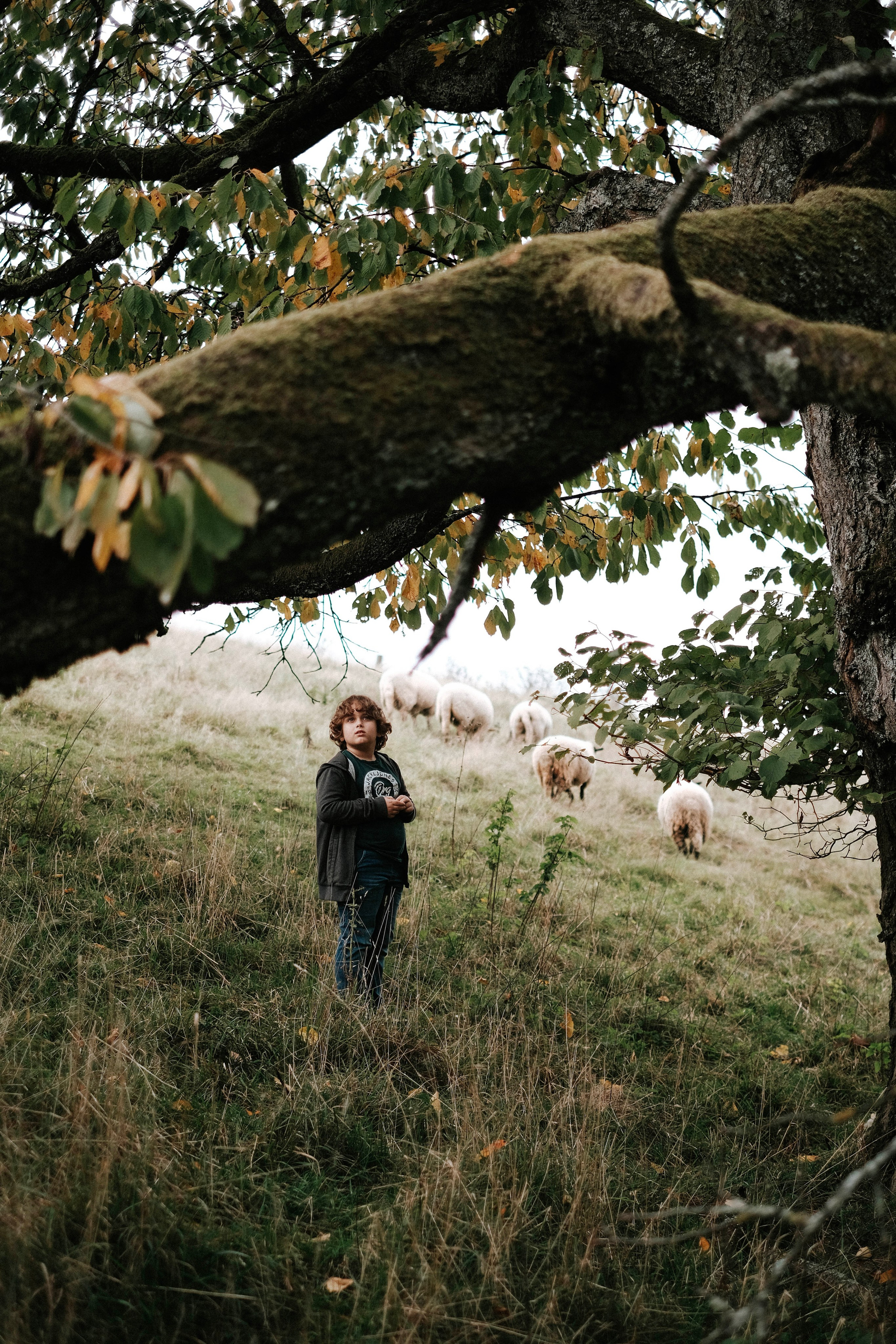 Lena&Lev. Authentische Familienfotografie in Köln