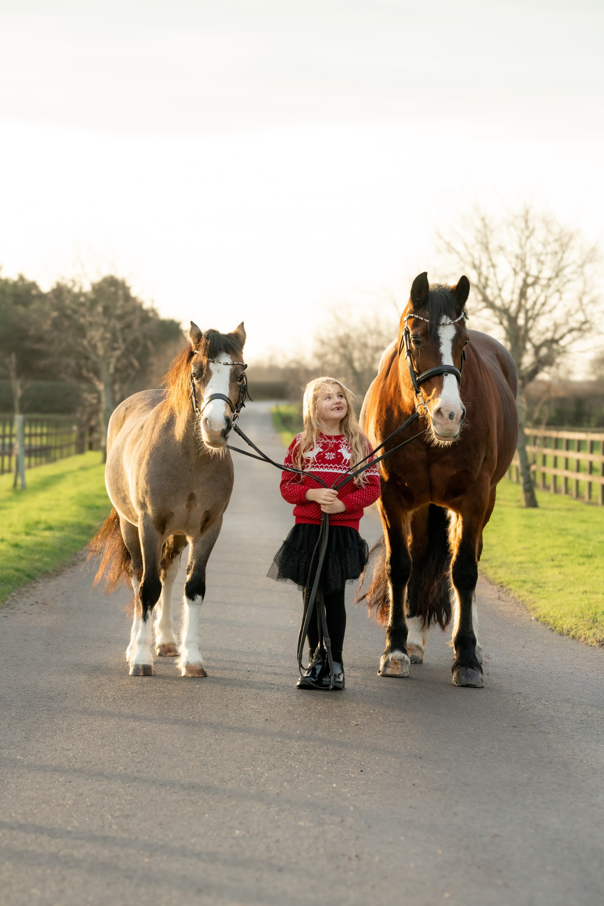 Equine Photography Portfolio | Leicestershire Horse Portrait Photographer. Leicestershire Equine Photography by El | Authentic Equine Portraits & Events
