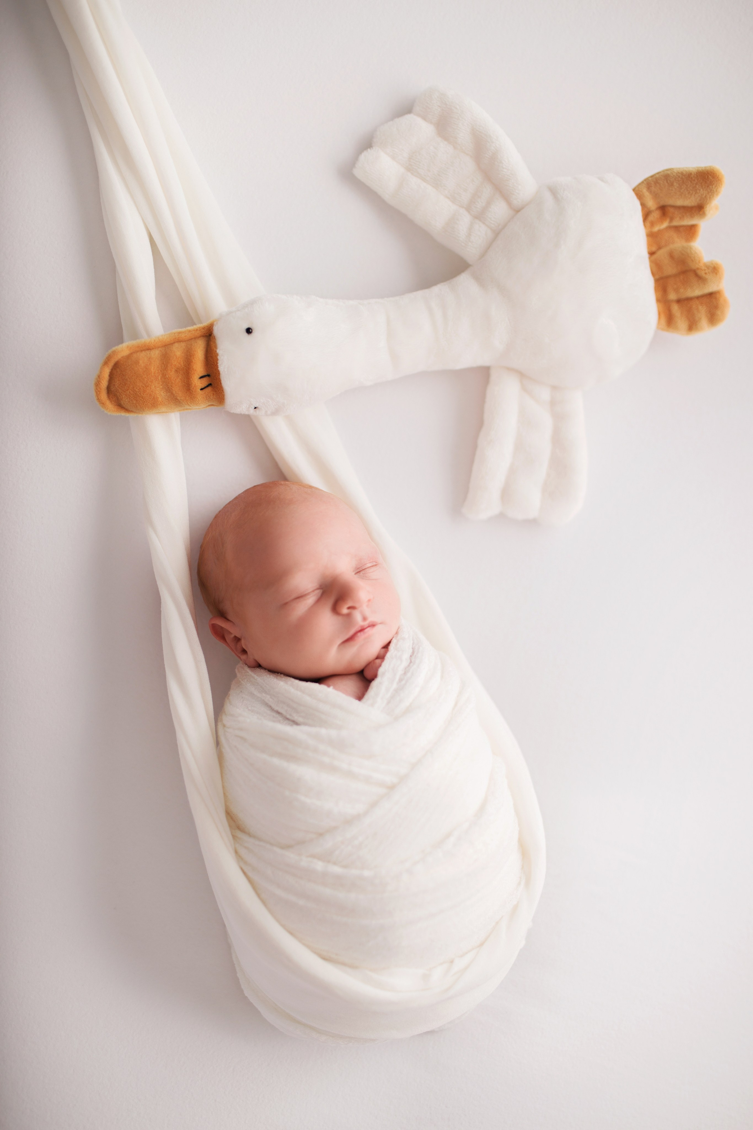 Neugeborene. Neugeborenen, Kinder, Familie Fotografin Oberhausen NRW Marina Lykov