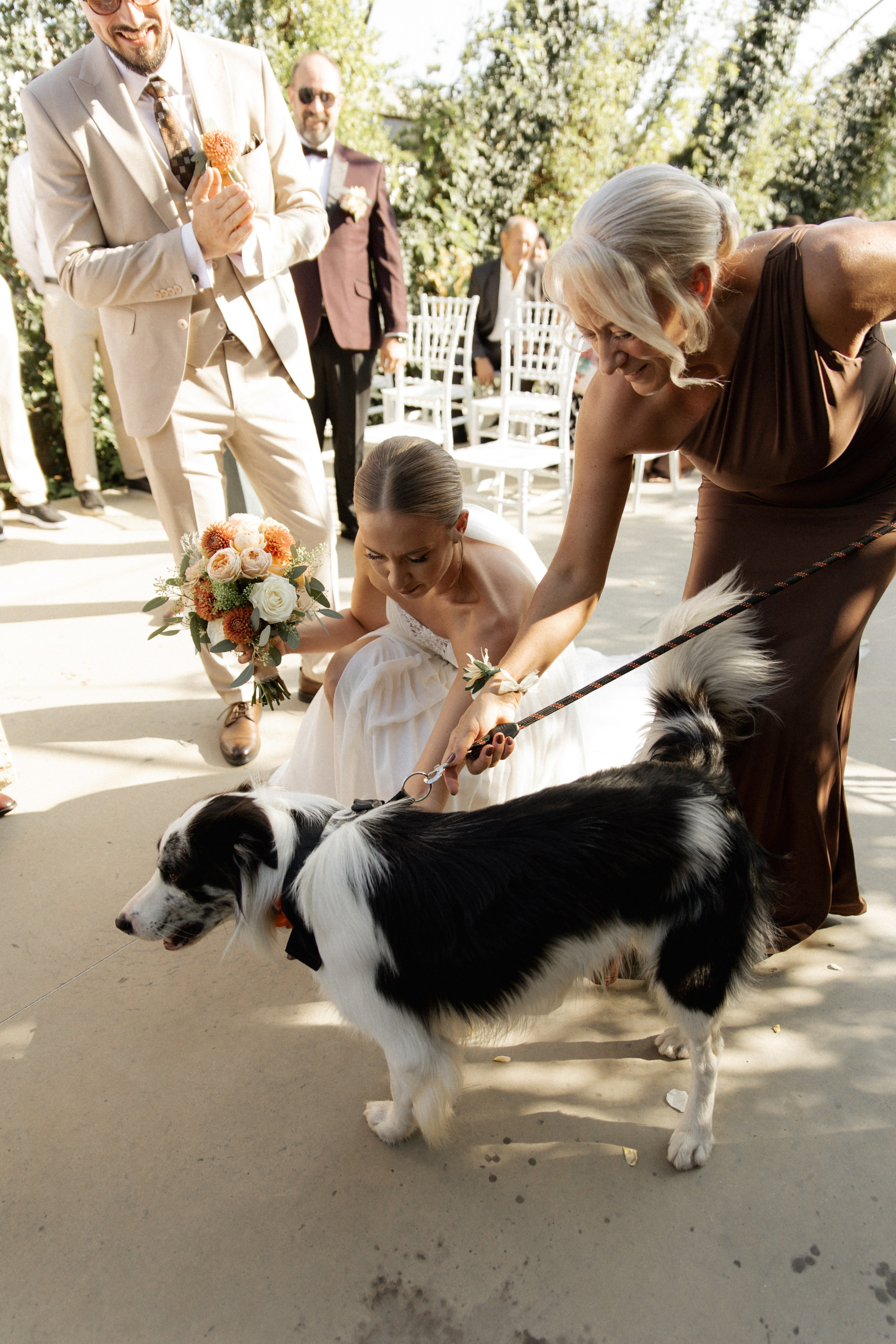 Wedding at Province Timisoara | Cristina & Robert. Wedding photographer and videographer based in Timisoara, Romania