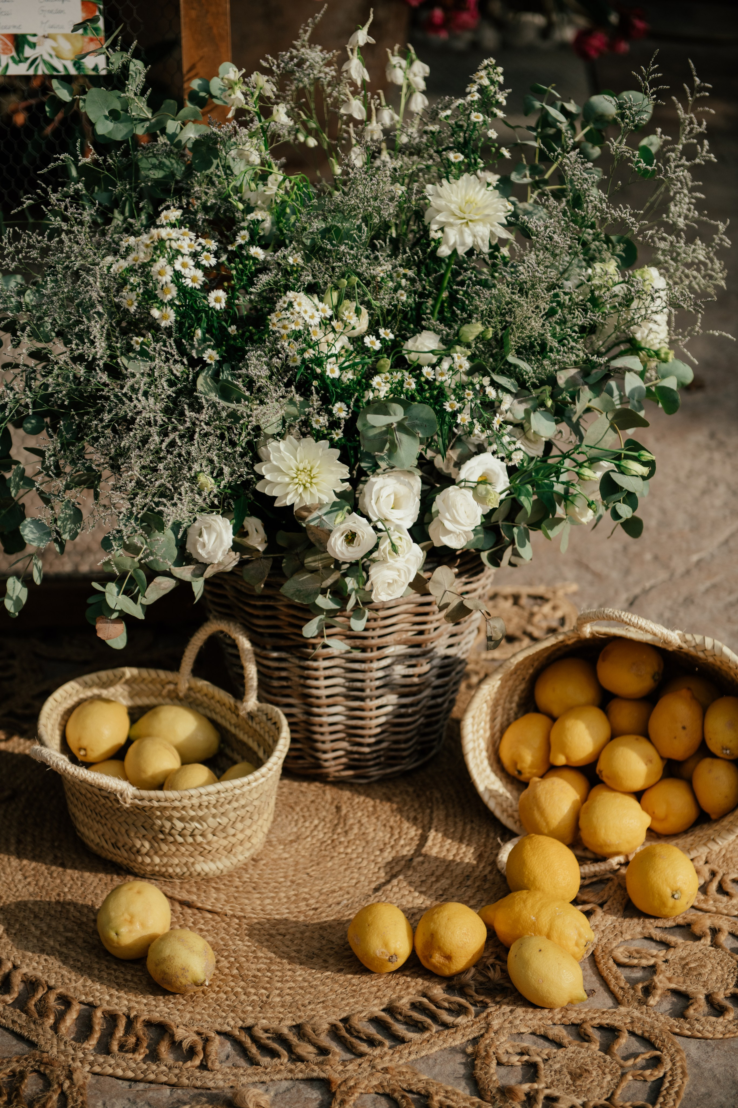 Alicia & Marc (Finca Marques de Montemolar)