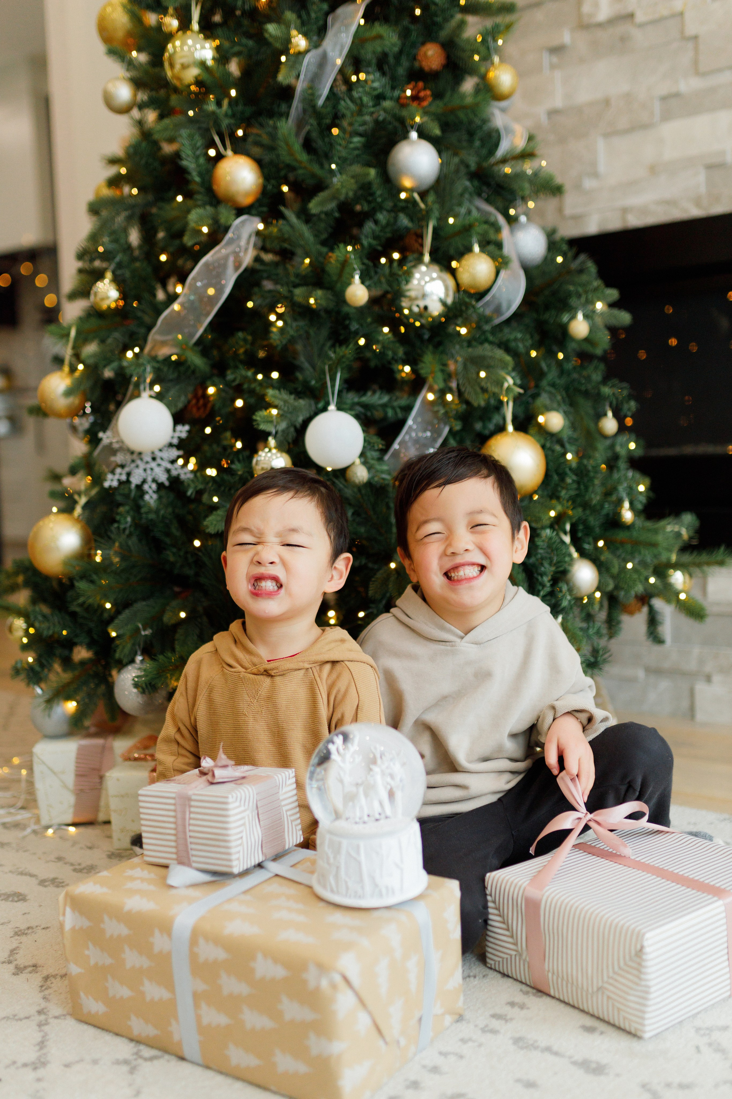 Christmas minis 2025. Home