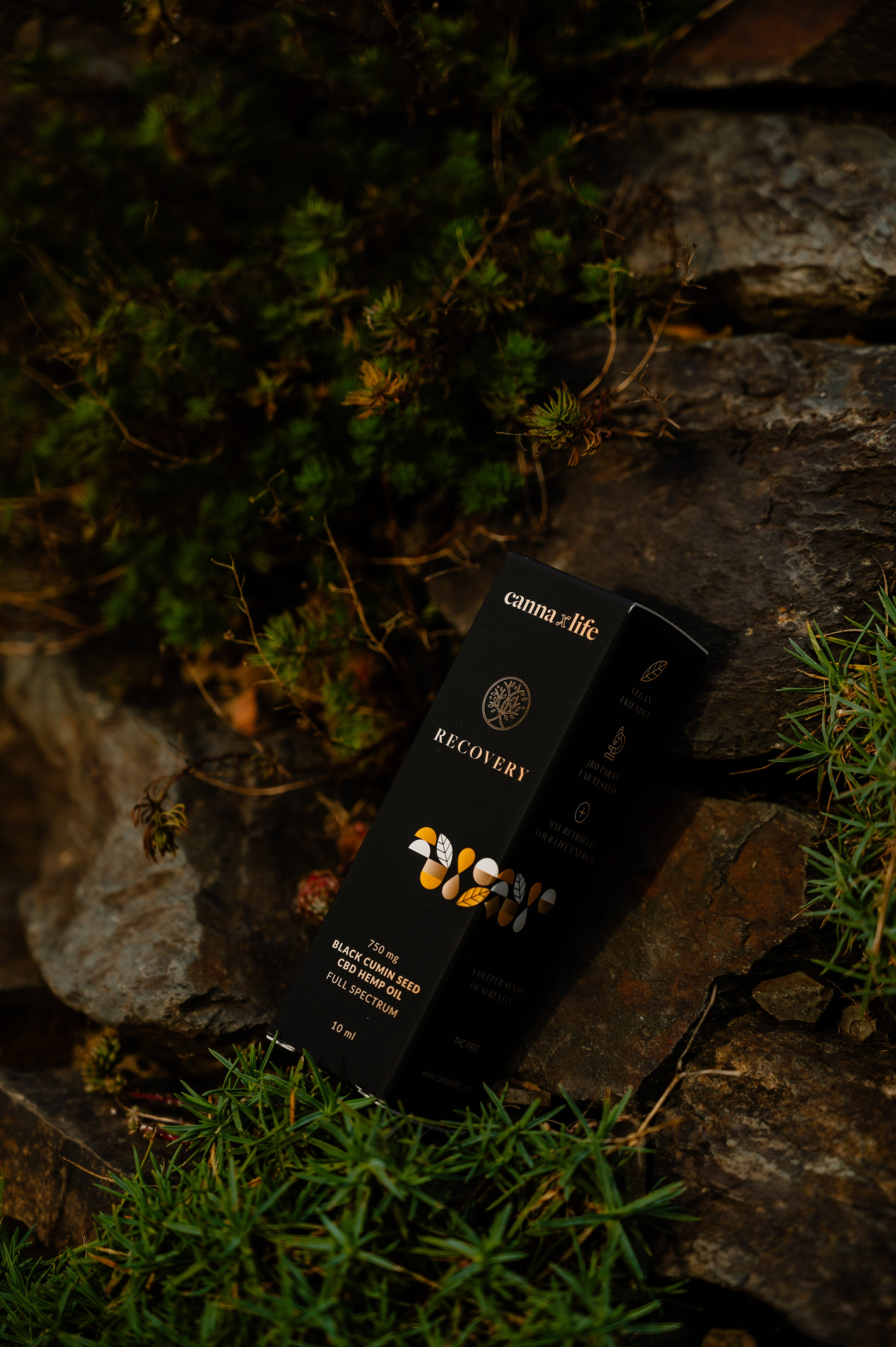 CannaXlife CBD products. ANNA-MARIA PHOTO CONTENT CREATOR — фотограф, эстет, художник и визуальный эксперт в Instagram, работающий в Праге