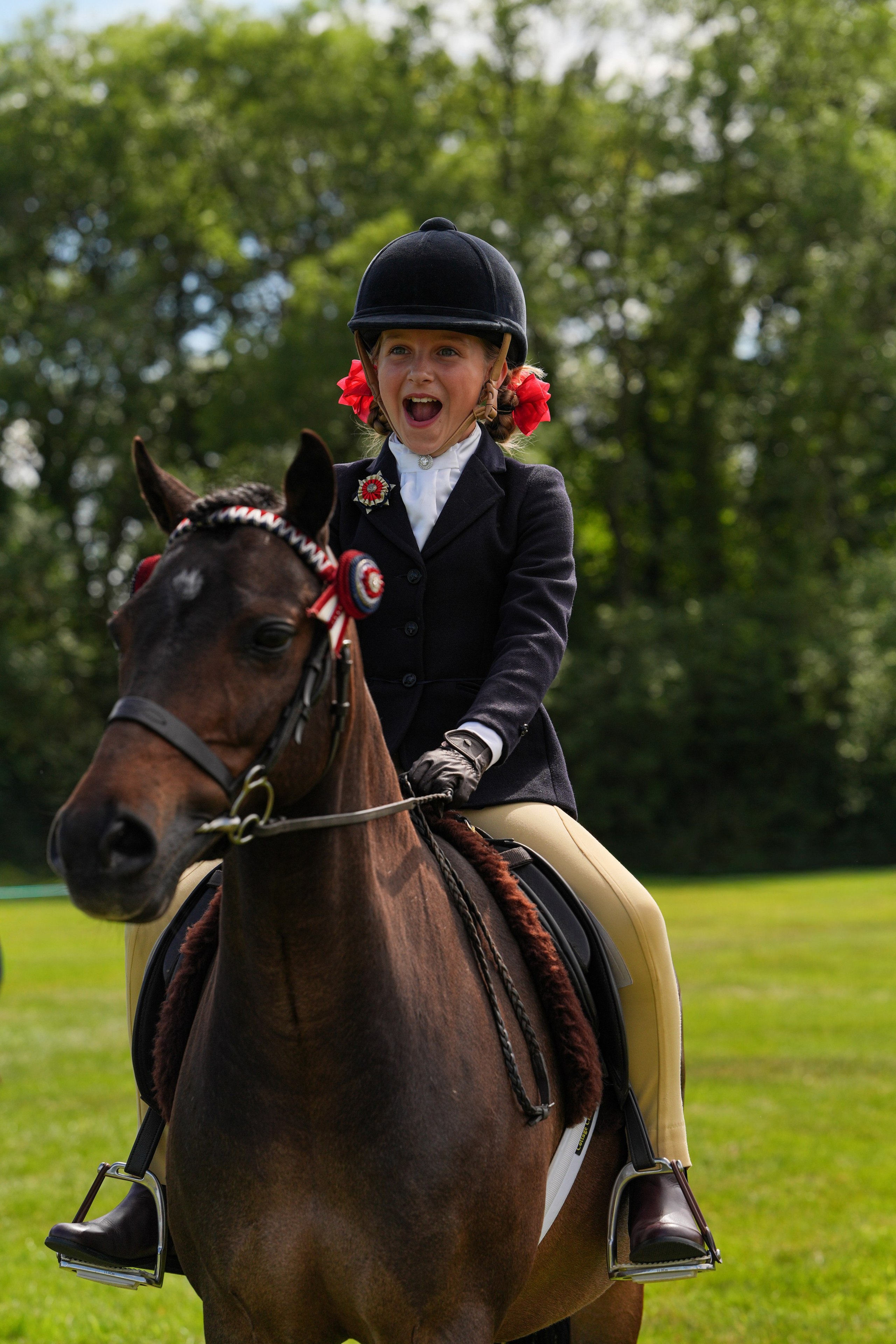 Showing. Leicestershire Equine Photography by El | Authentic Equine Portraits & Events