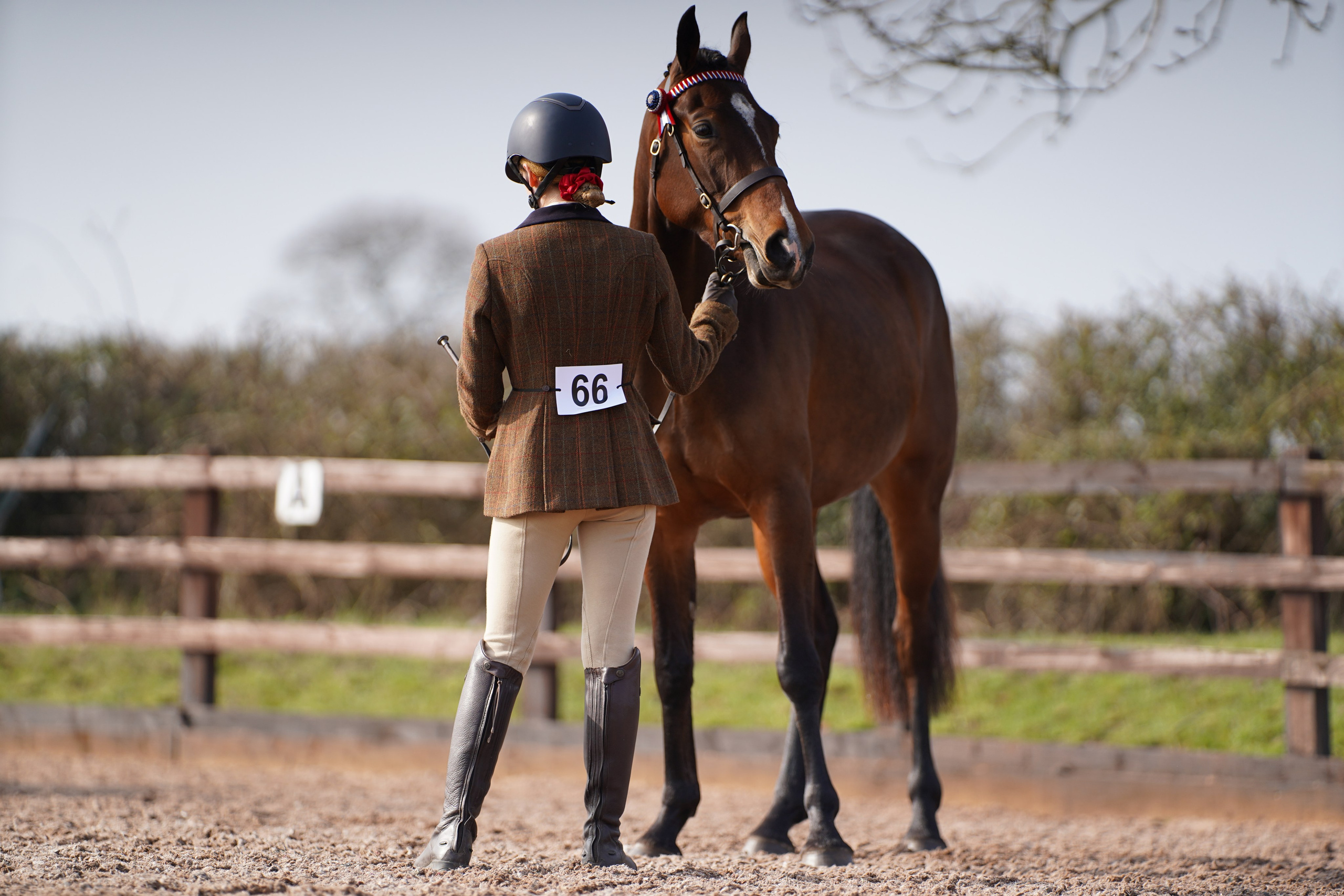 Showing. Leicestershire Equine Photography by El | Authentic Equine Portraits & Events