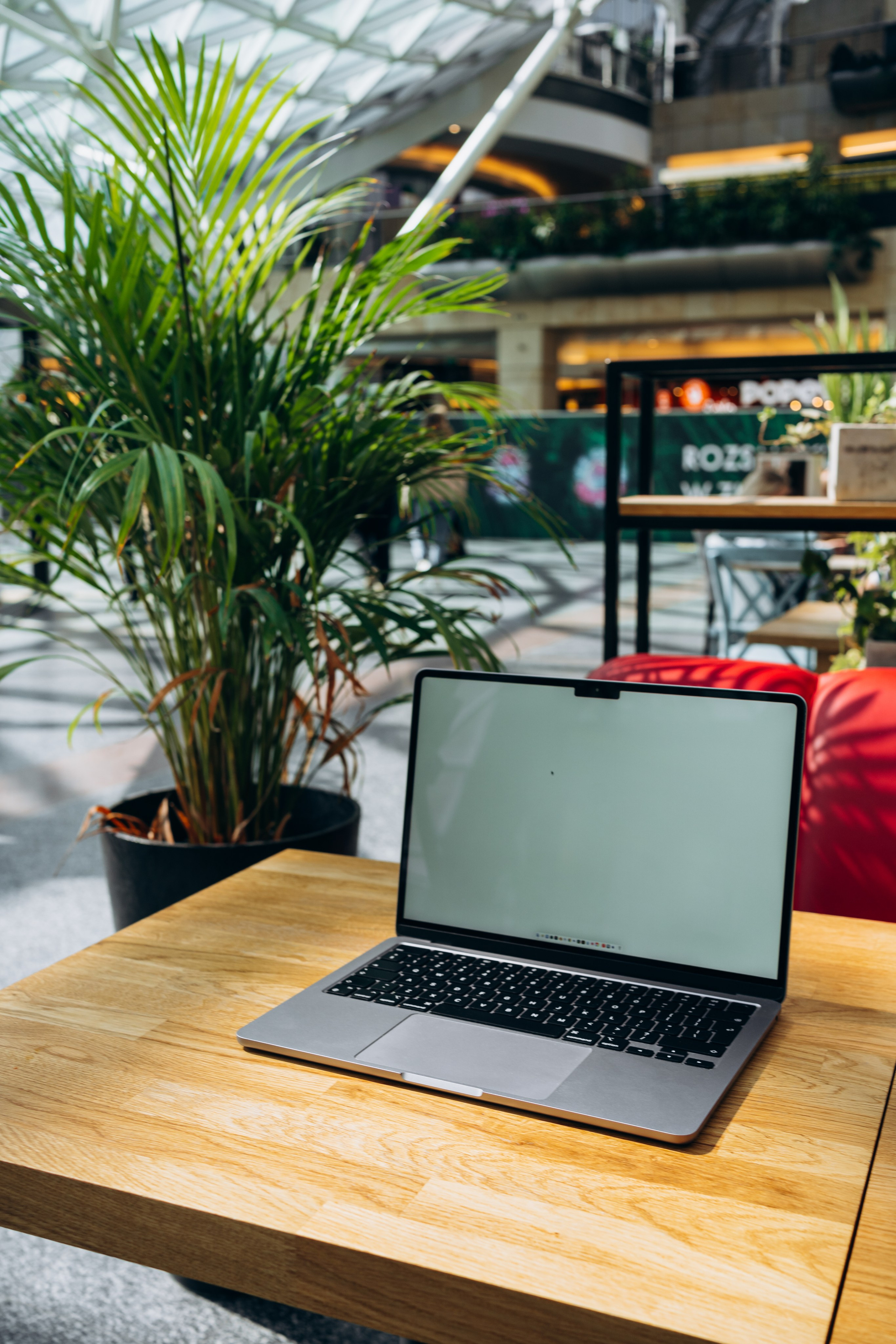 Mockup. Fotograf Katowice – sesje indywidualne, rodzinne, ślubne