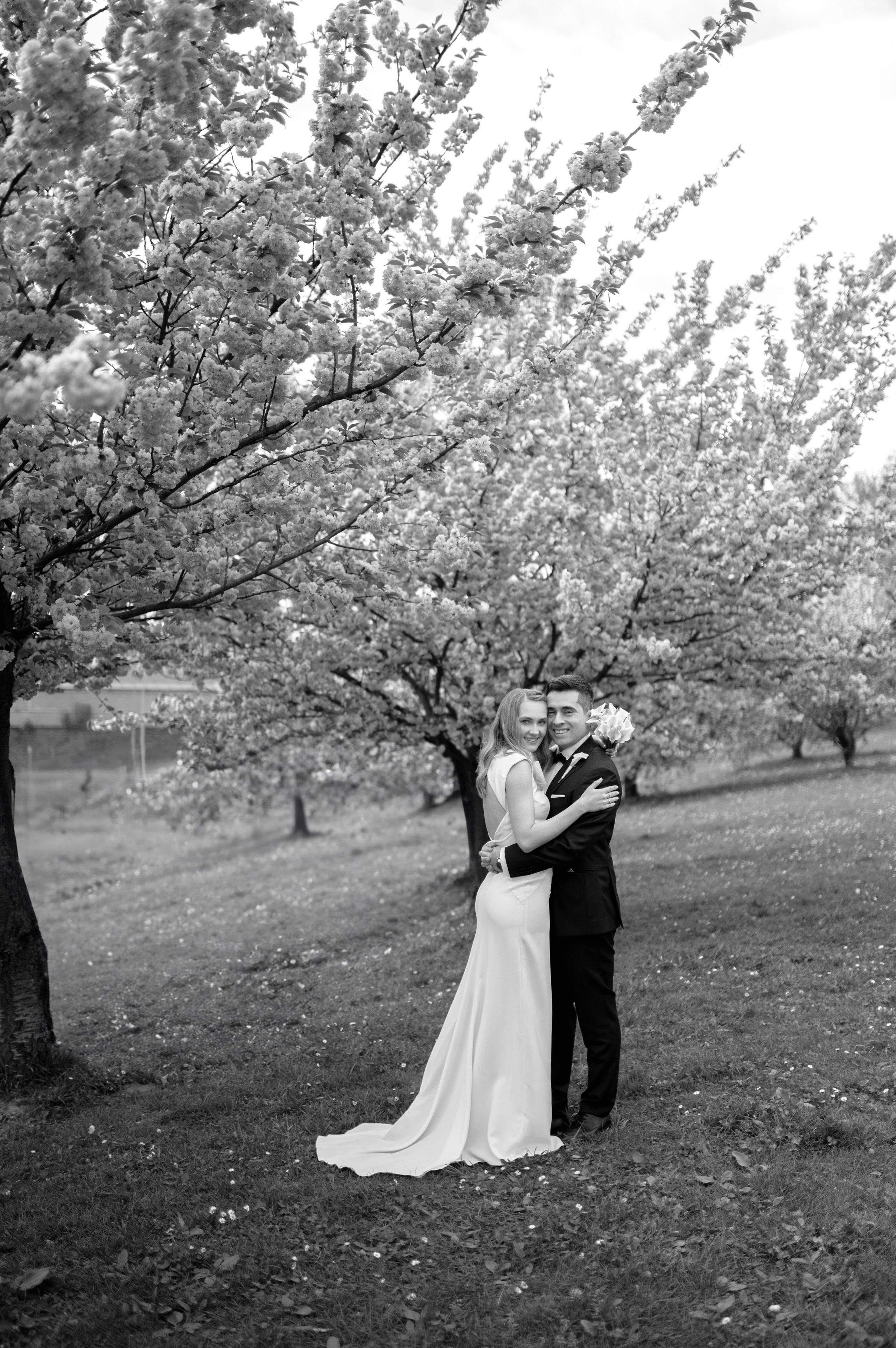 Alfredo i Alina. Home page