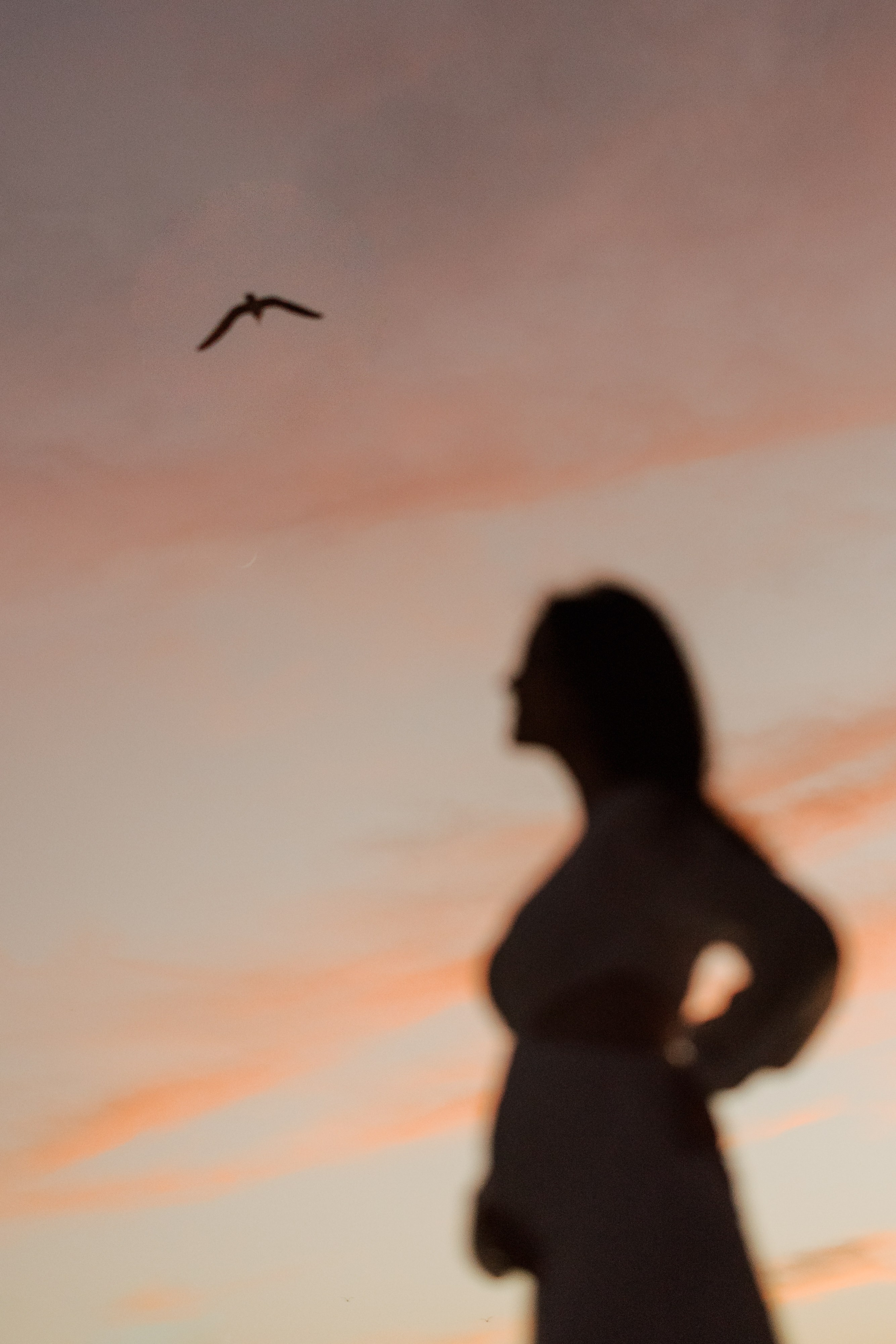 Carol & Arthur. Anderson Marcello | Fotógrafo de Casamentos