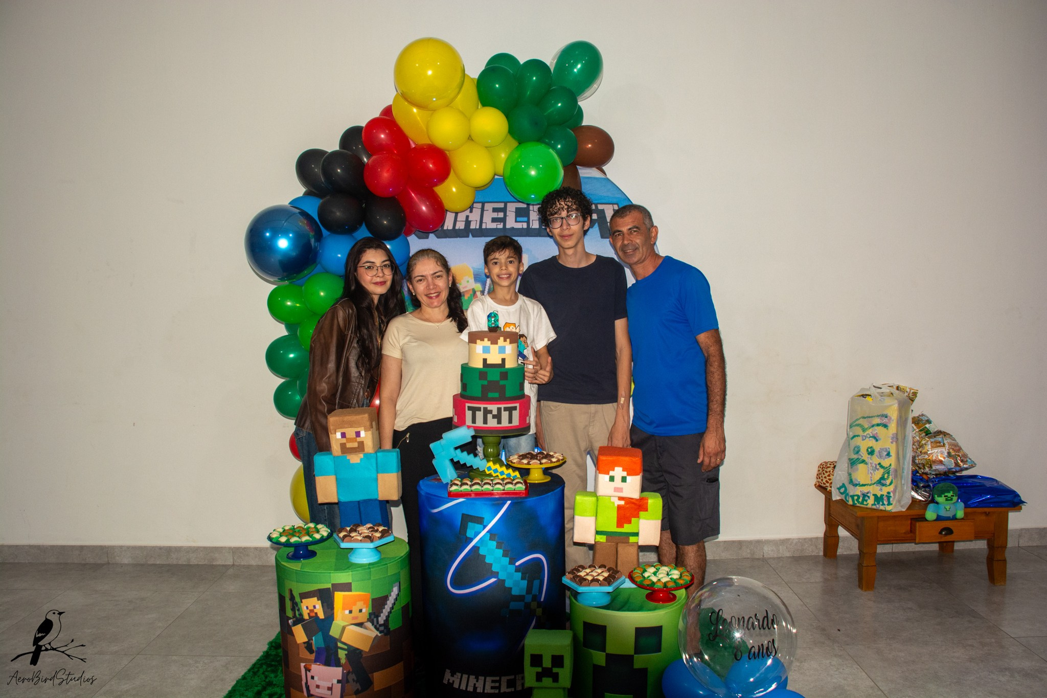 Leonardo 8 ano. AerobirdStudios