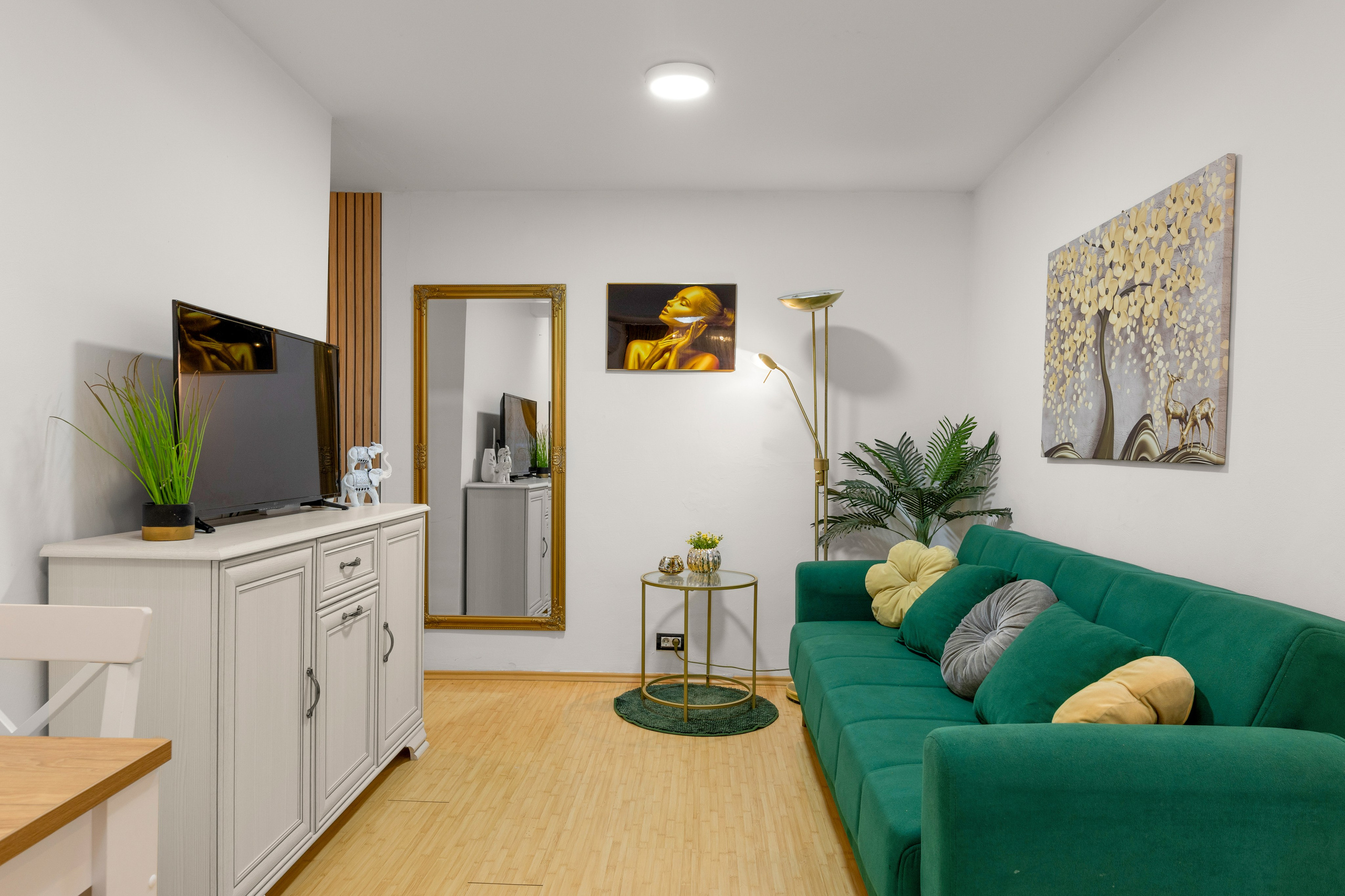 INTERIOR - REALESTATE. Samuel Ciobanu