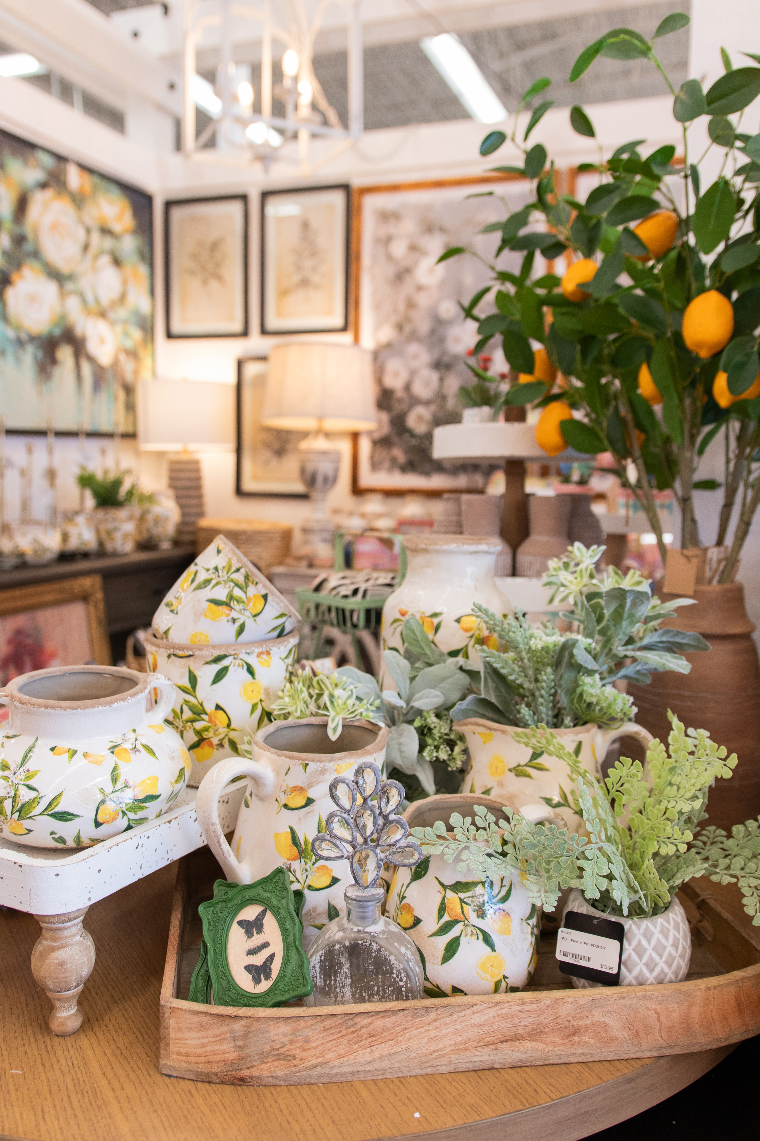 Painted Tree Boutiques winter 2026 retail collection photoshoot in Round Rock