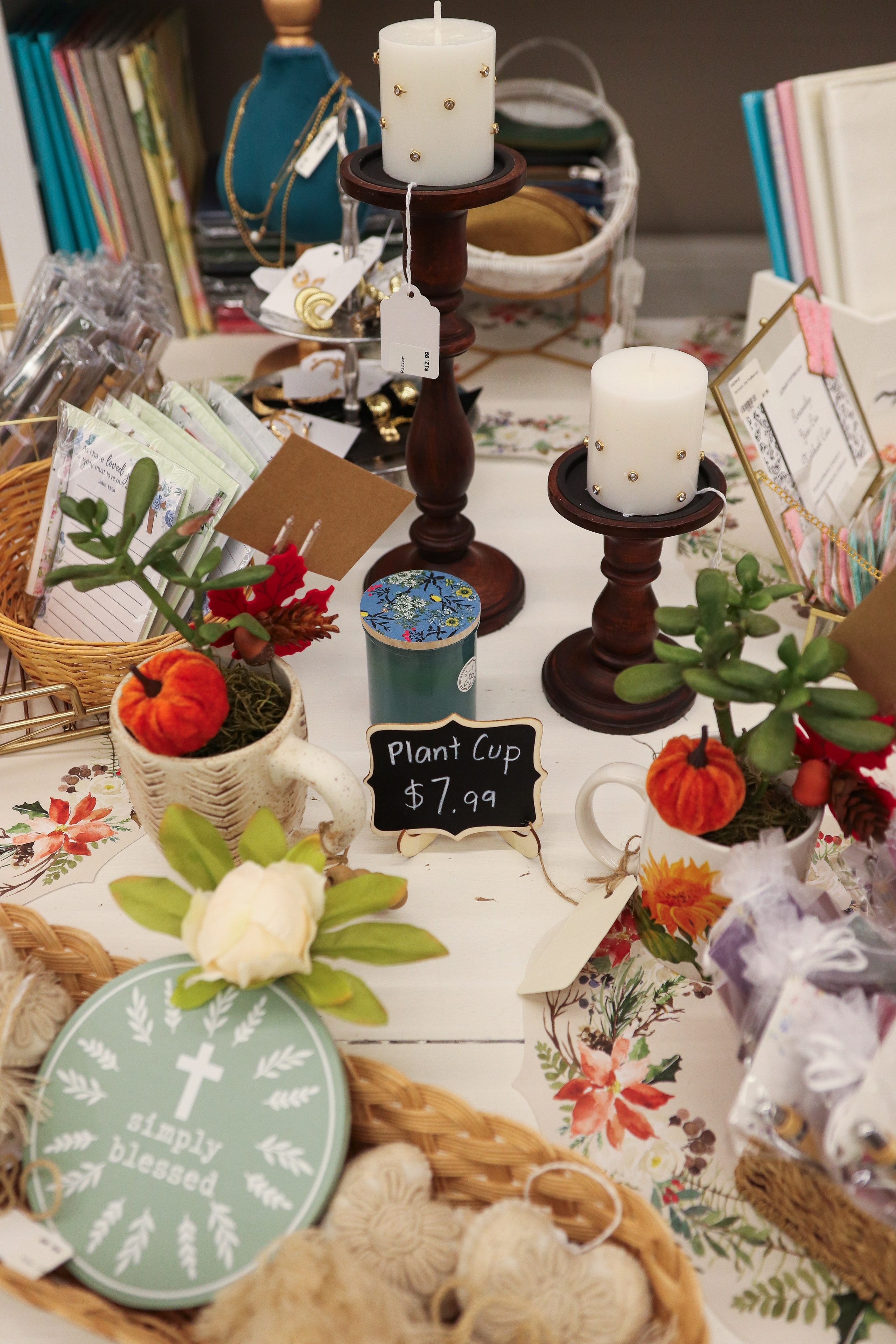 Painted Tree Boutiques Round Rock winter retail photoshoot collection