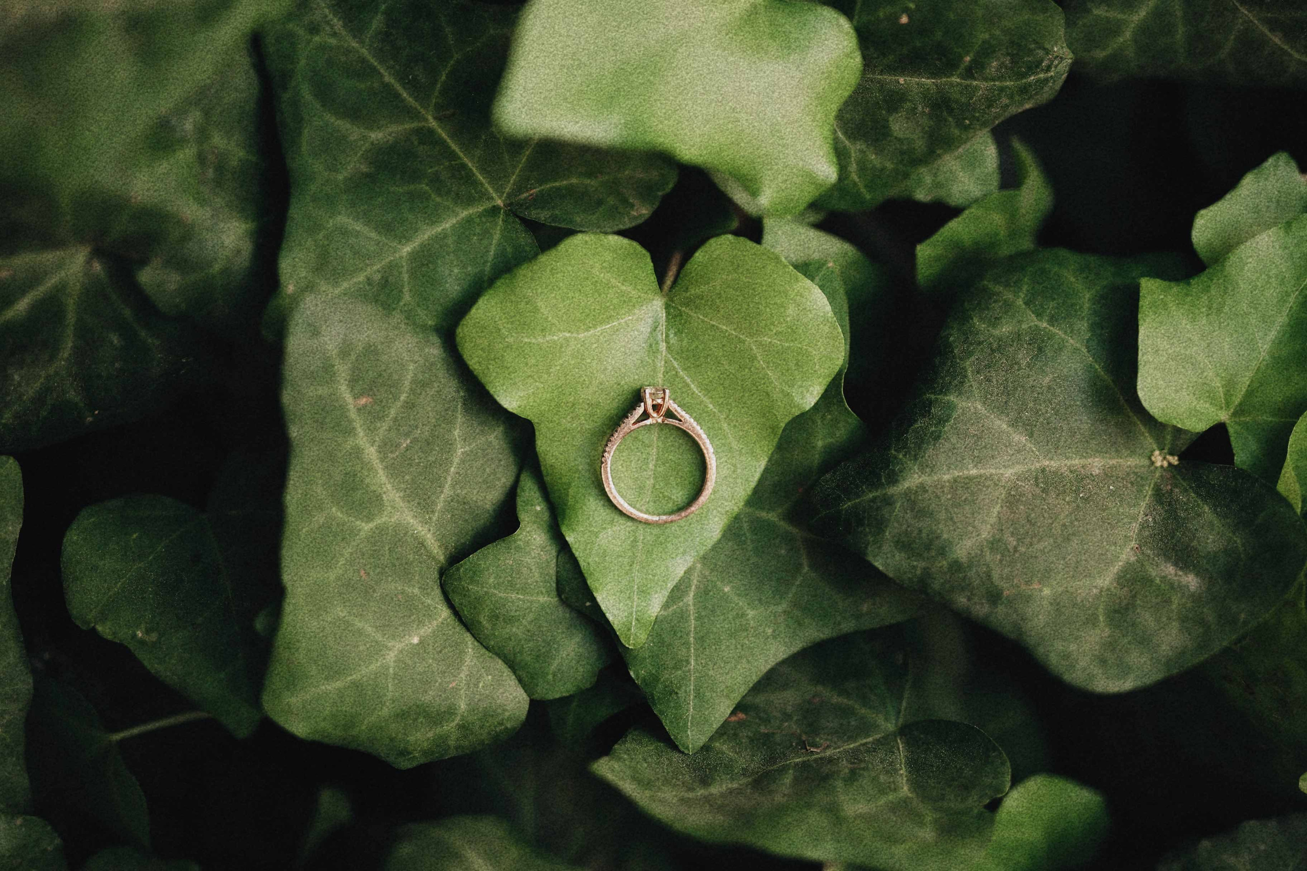 ‏יעקב אלקין | ‏צילום ‏חתונות בירושלים