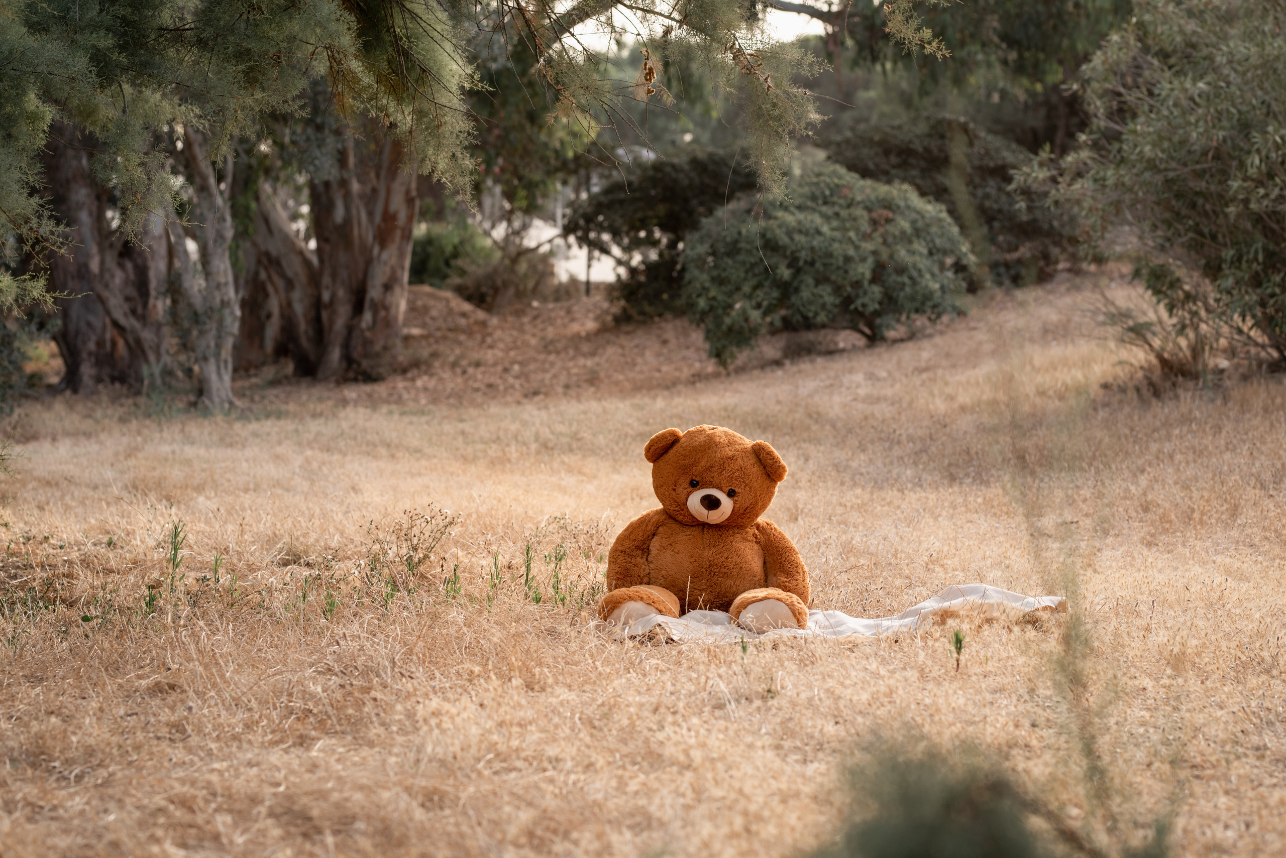 Отзывы. Семейный и детский фотограф