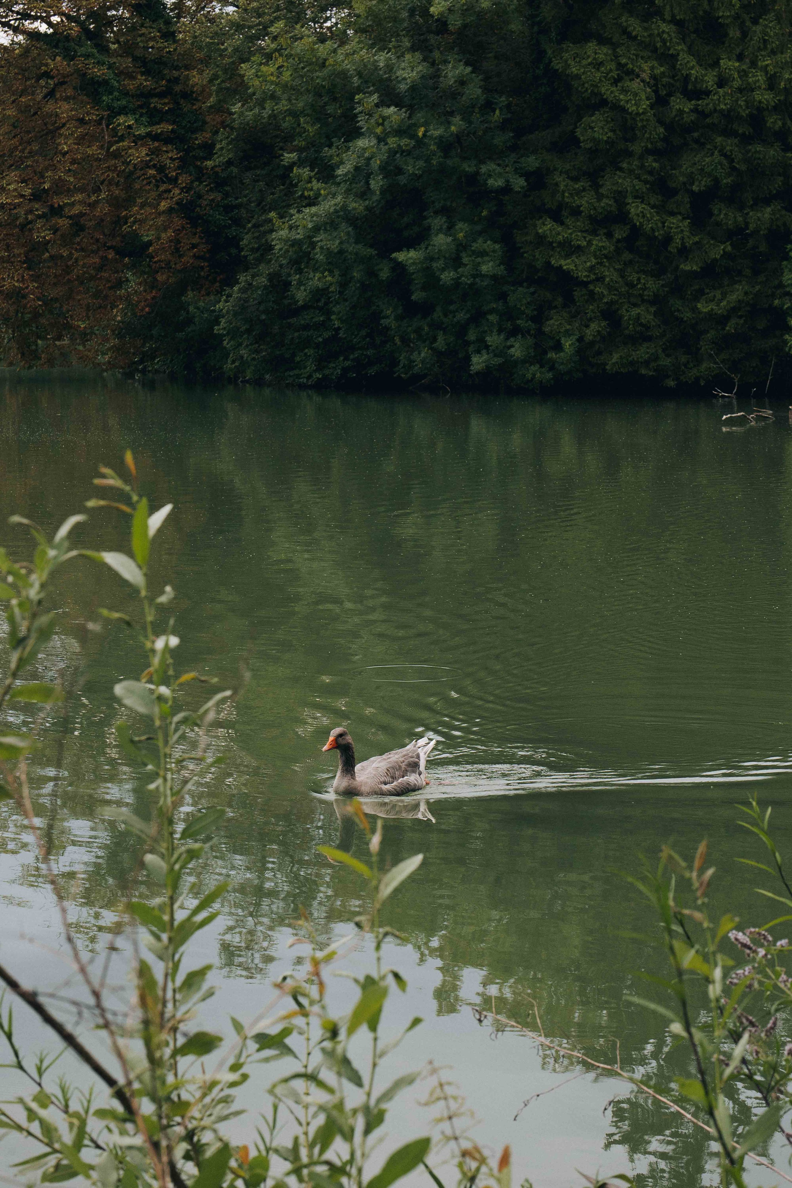 SCHLOSS LEOPOLDSKRON SALZBURG. Wedding&Event photographer Ismail Rzayev in Baku