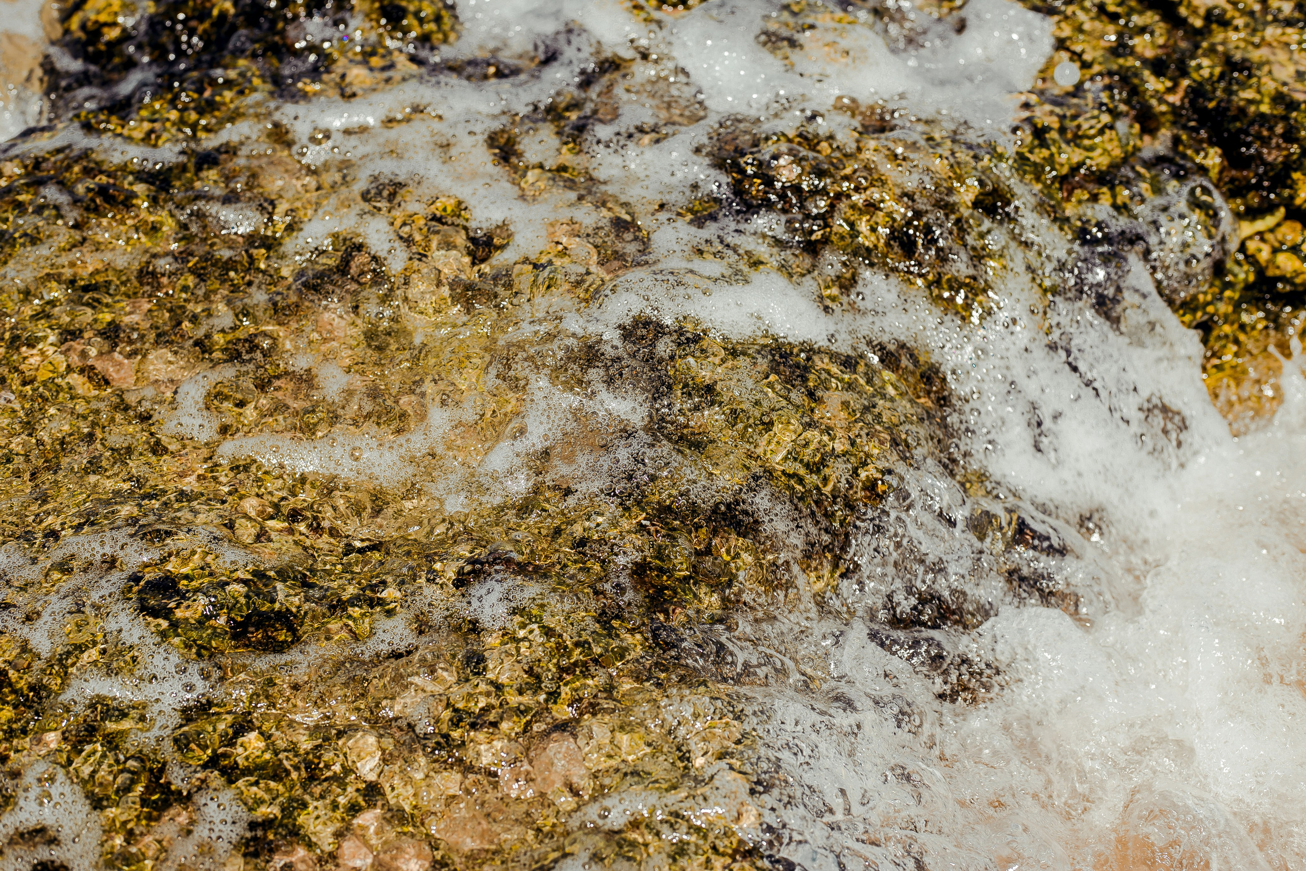 Sri Lanka. Art Photographer